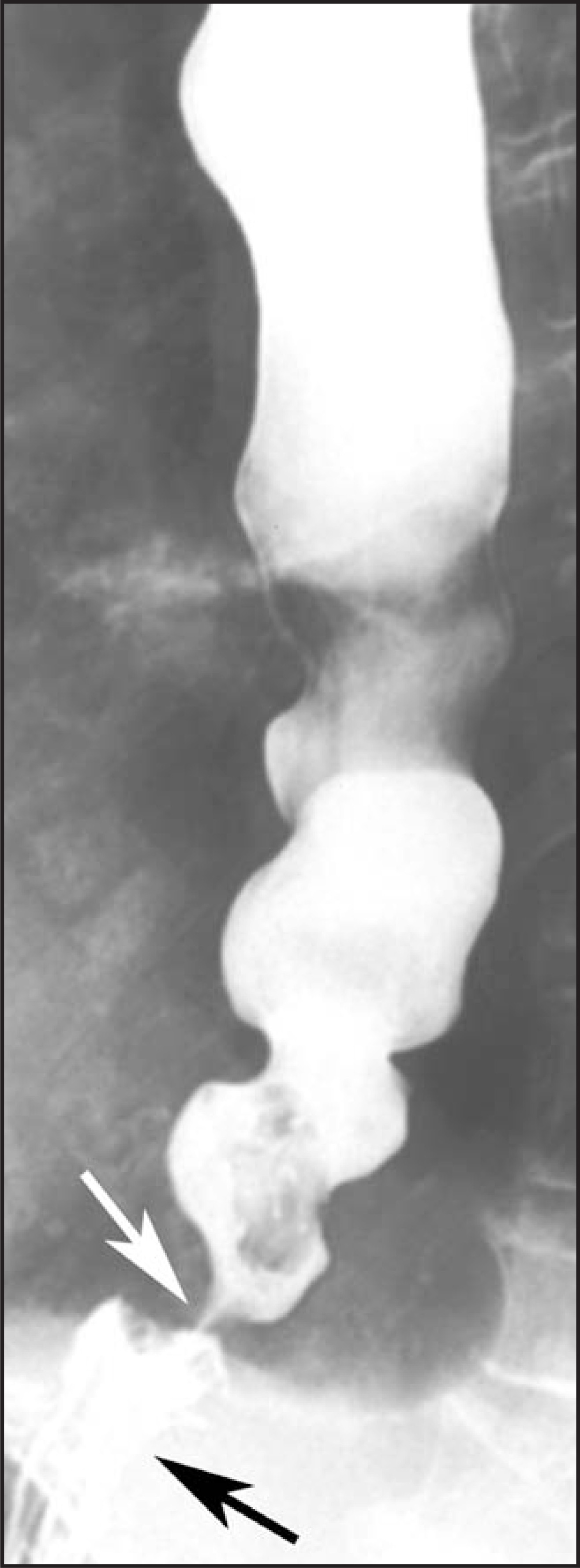 FIGURE 10.