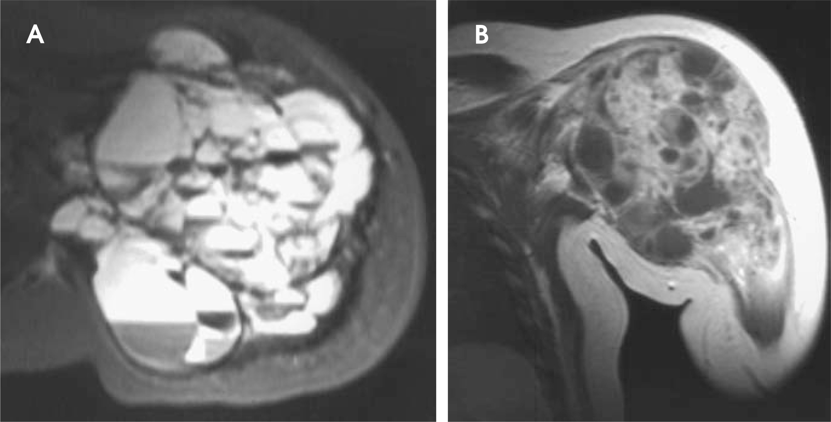 FIGURE 10.