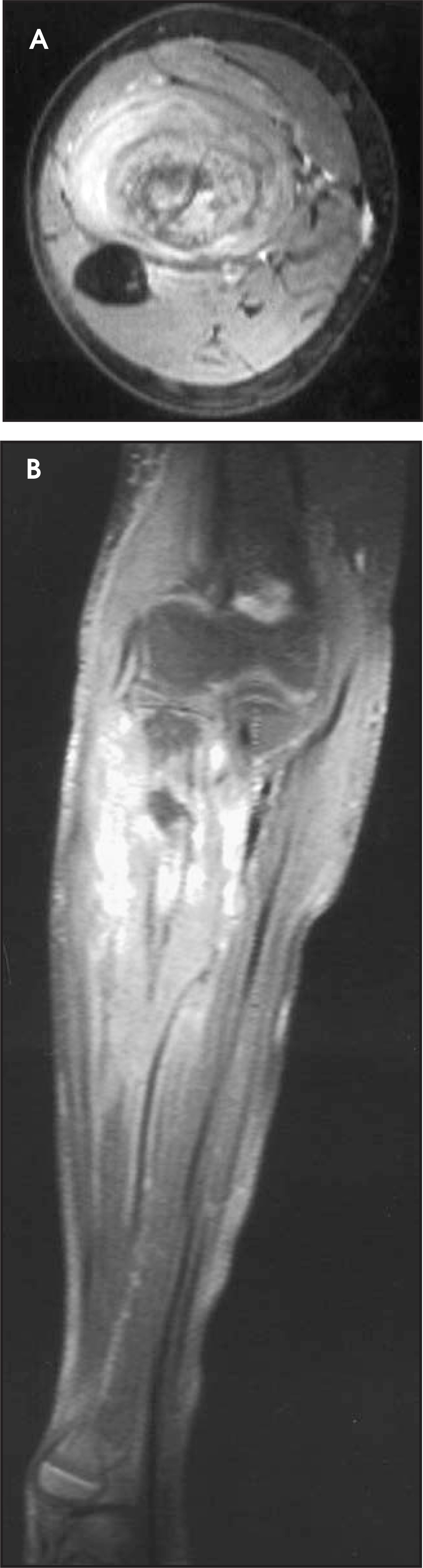 FIGURE 12.