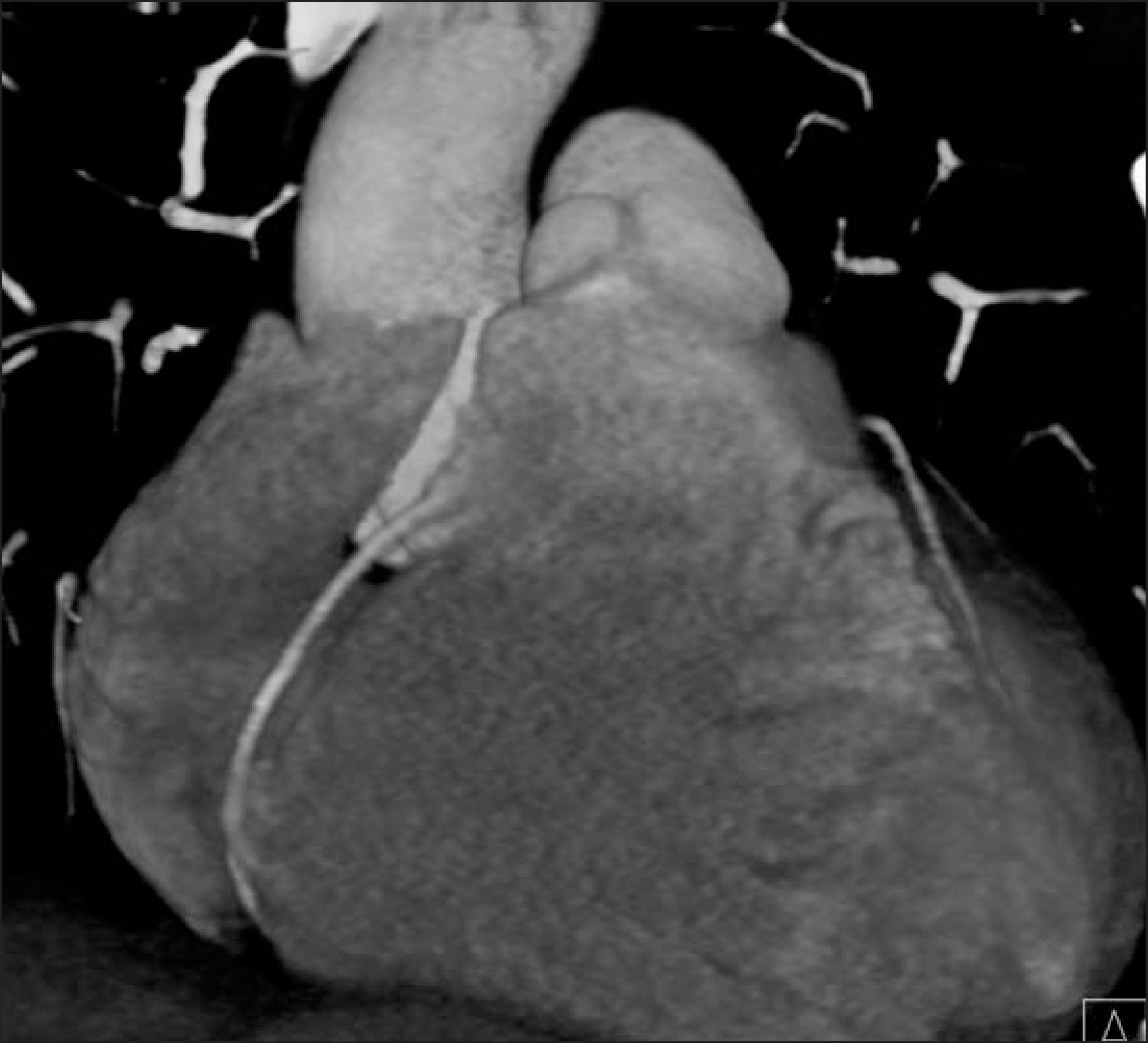 FIGURE 1.