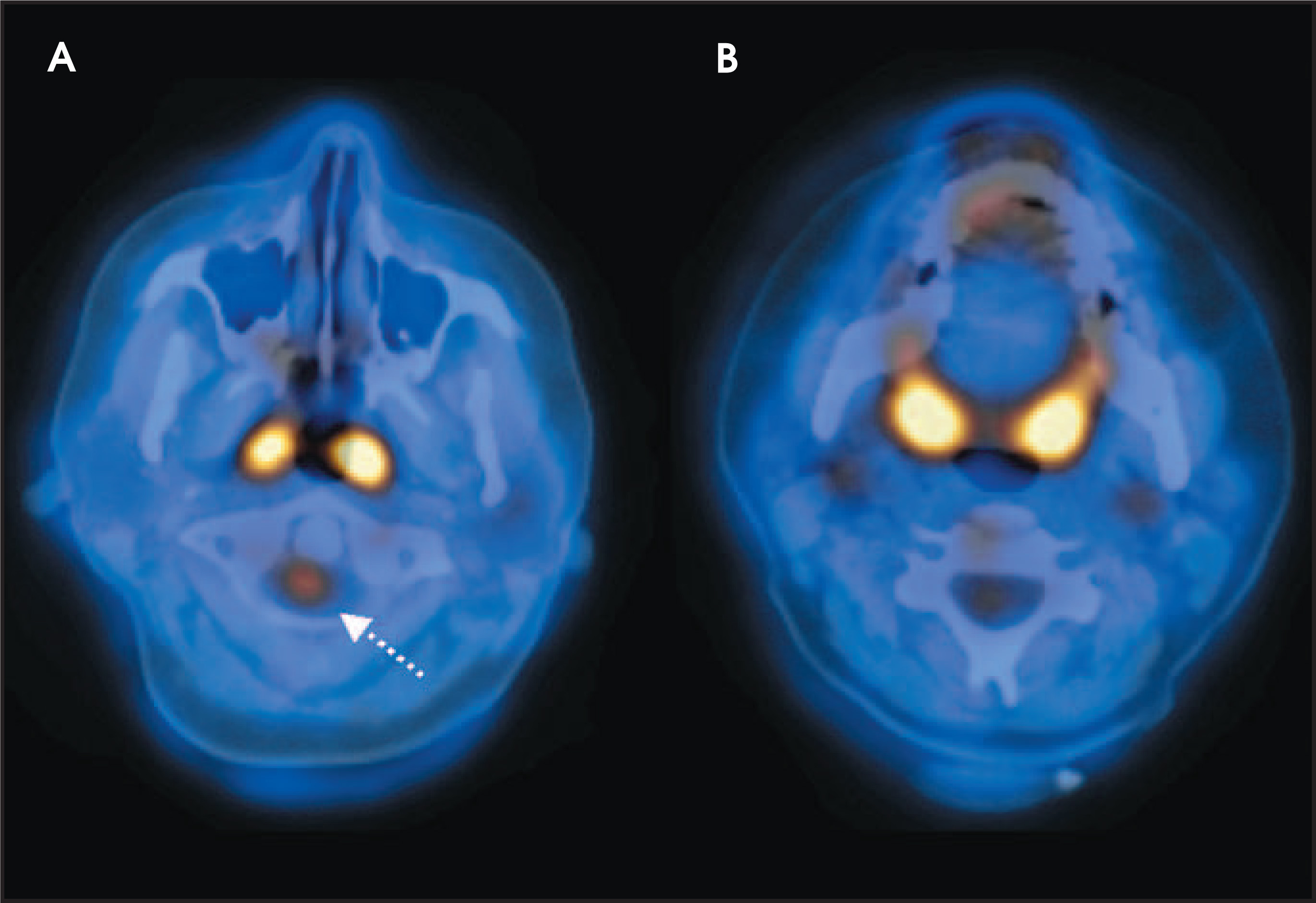 FIGURE 4.