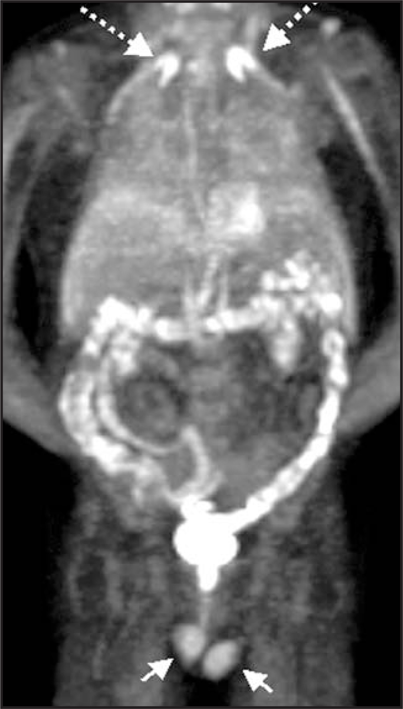 FIGURE 9.
