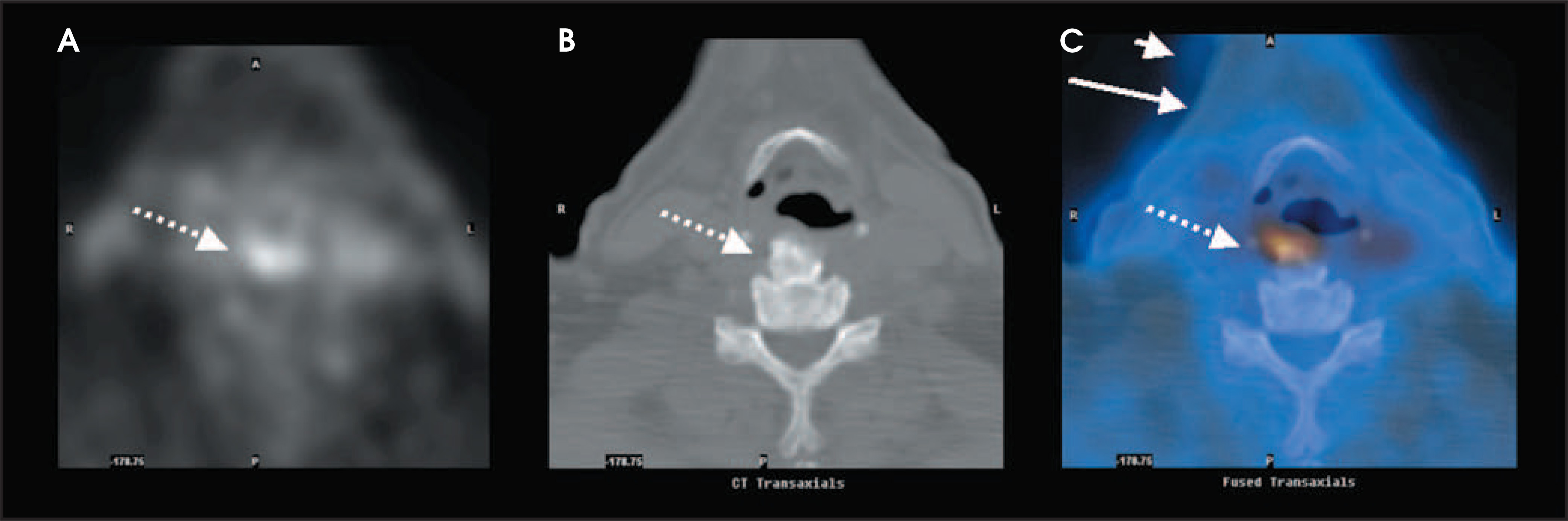 FIGURE 10.