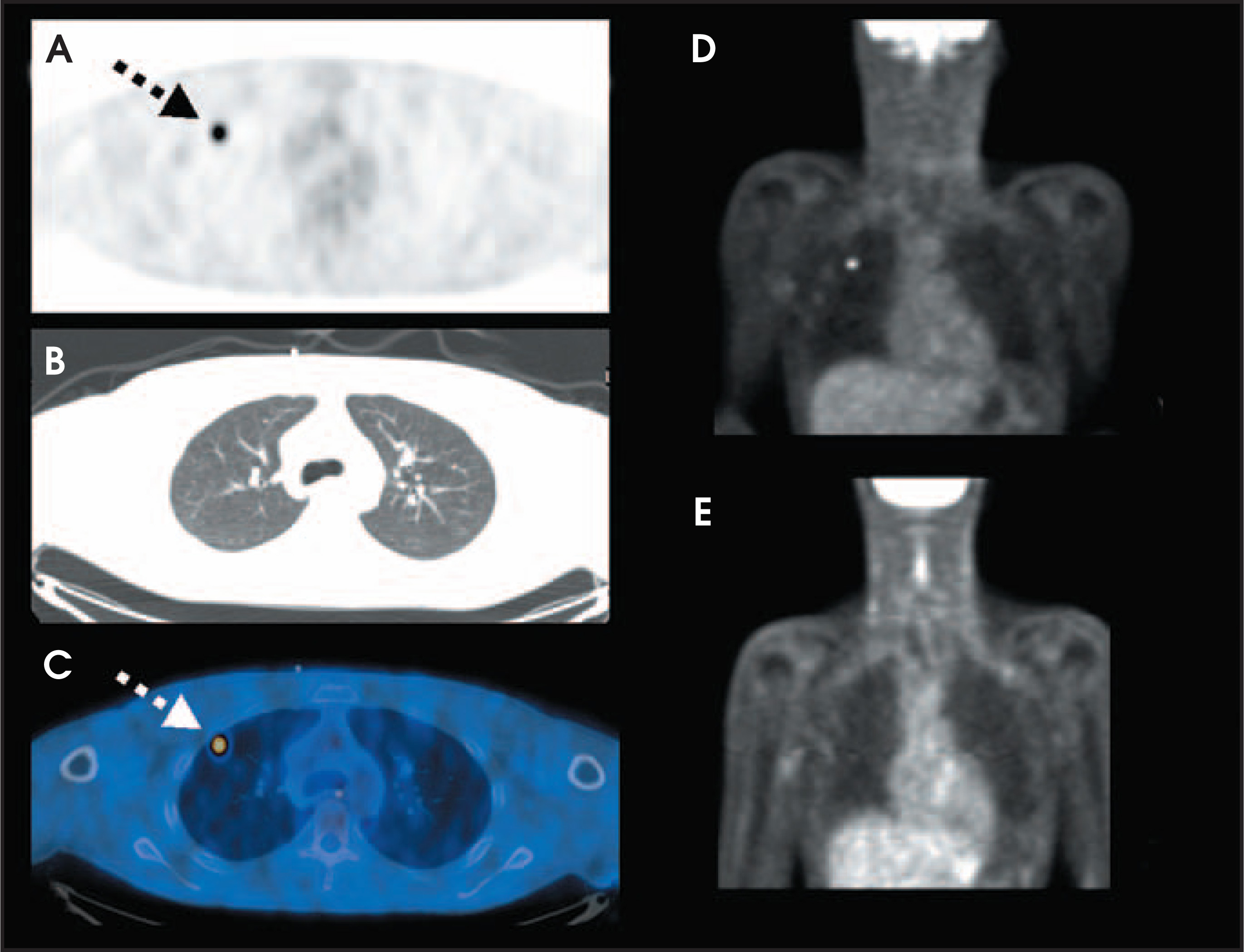 FIGURE 12.