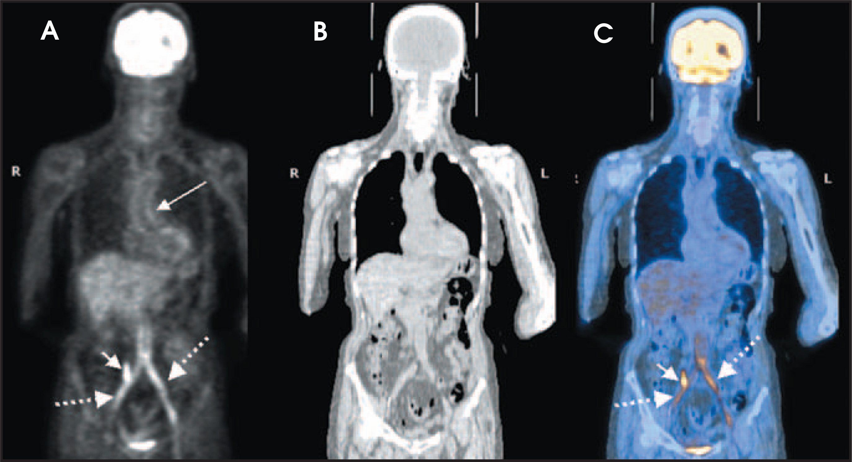 FIGURE 13.