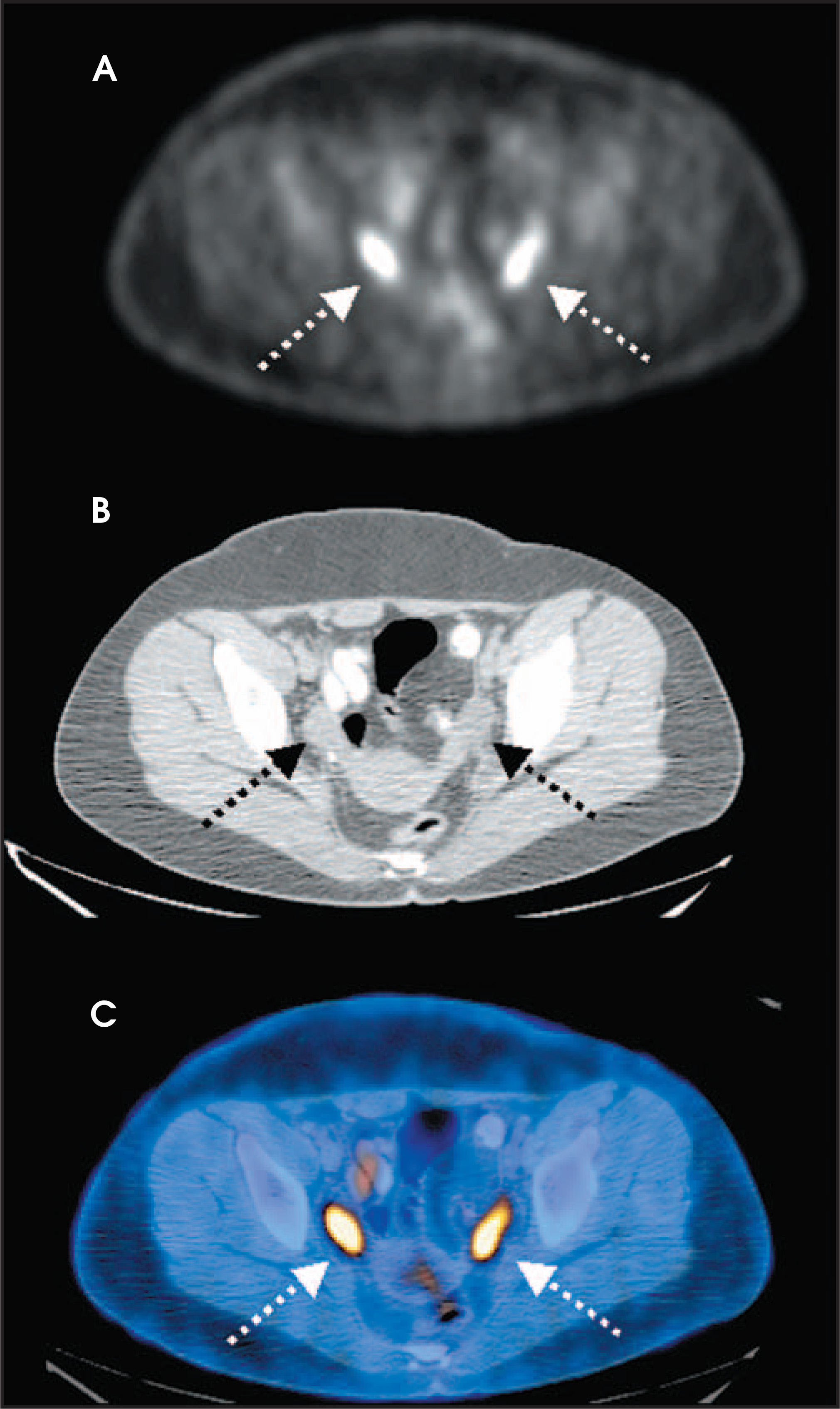 FIGURE 14.