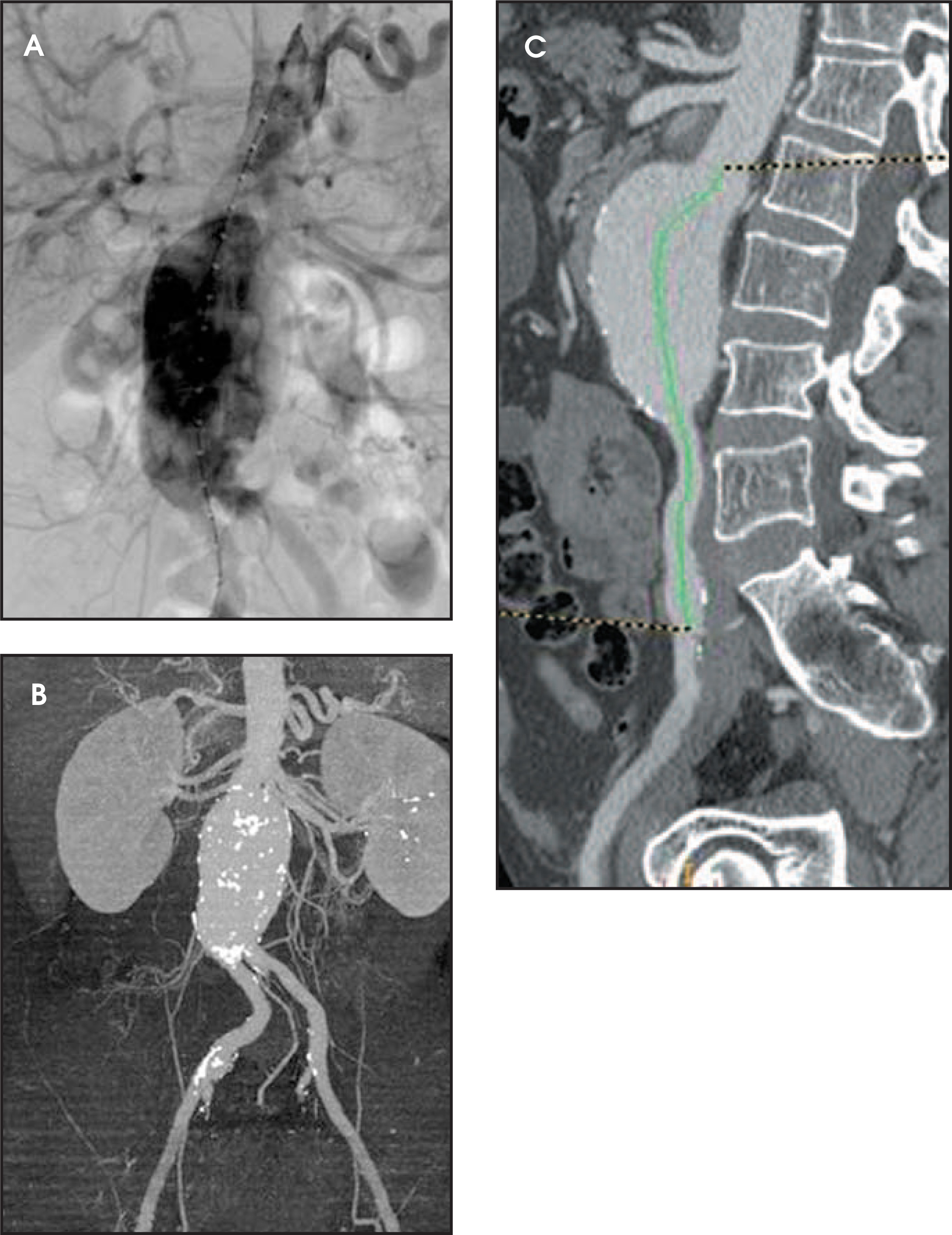 FIGURE 1.