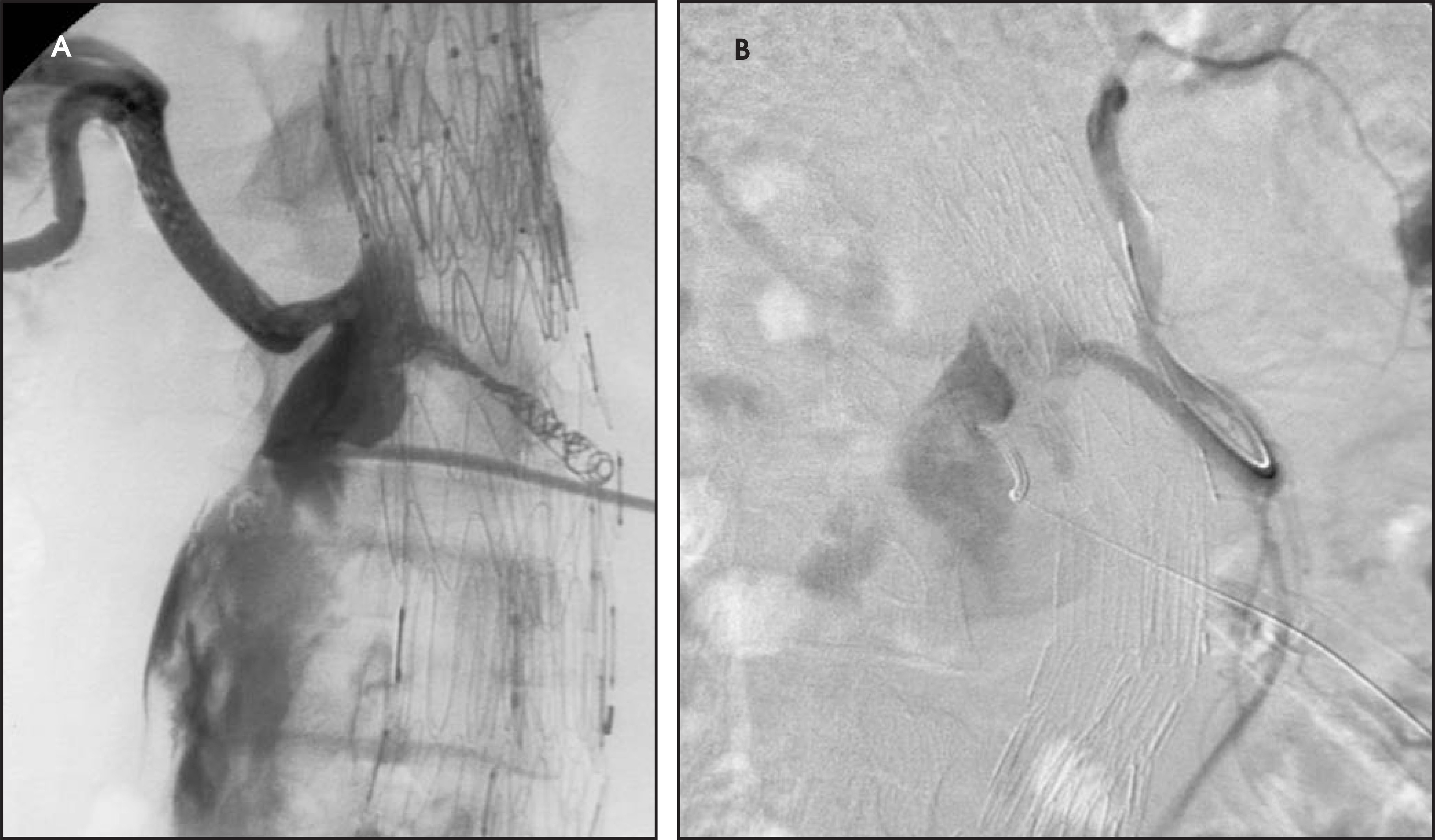 FIGURE 11.