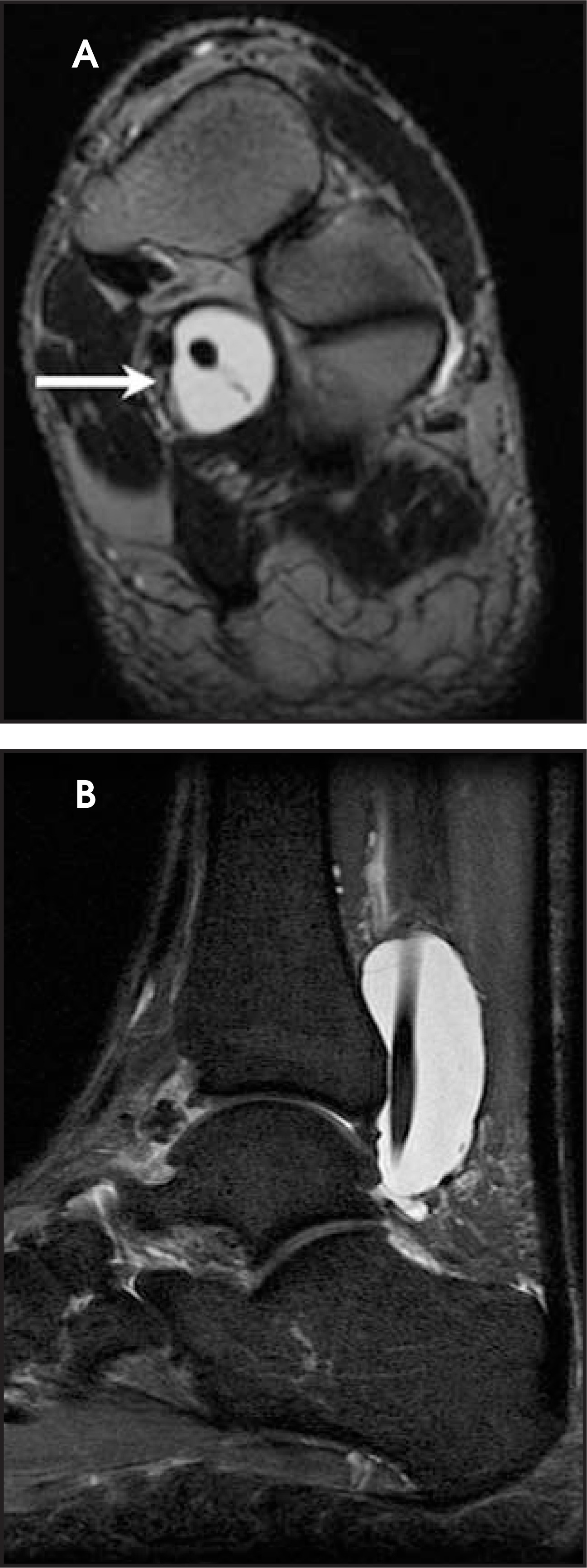 FIGURE 10.