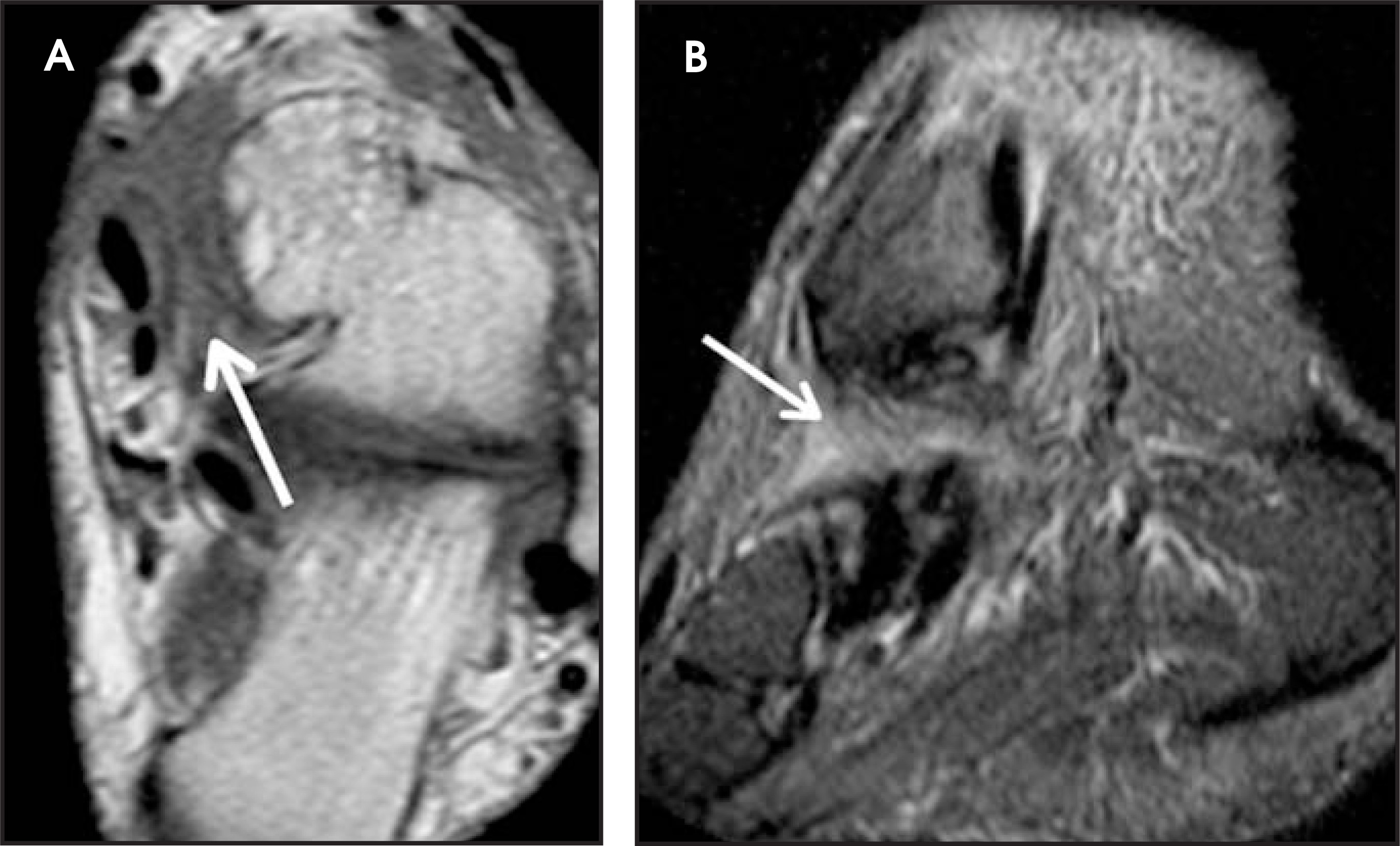 FIGURE 12.