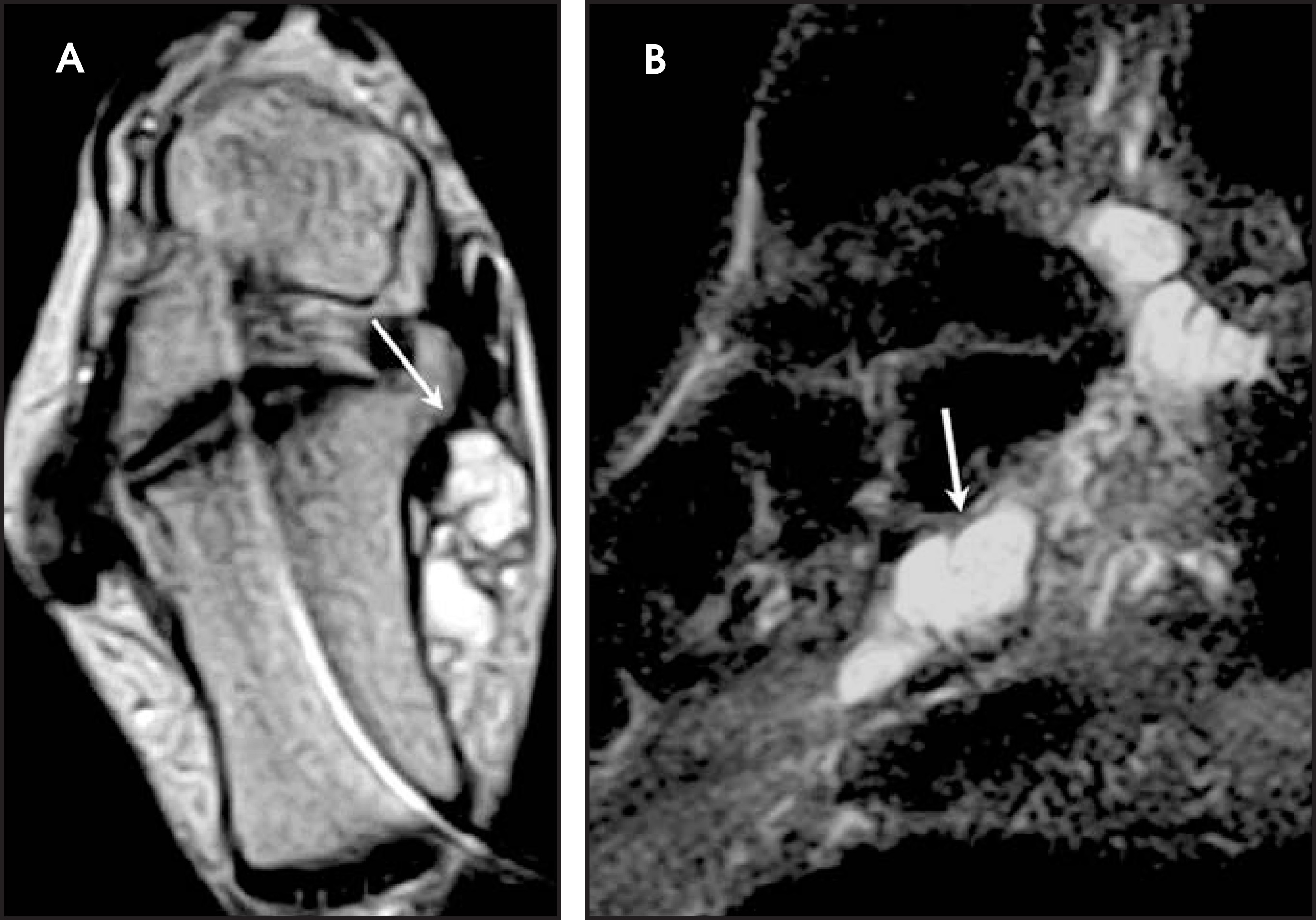 FIGURE 13.