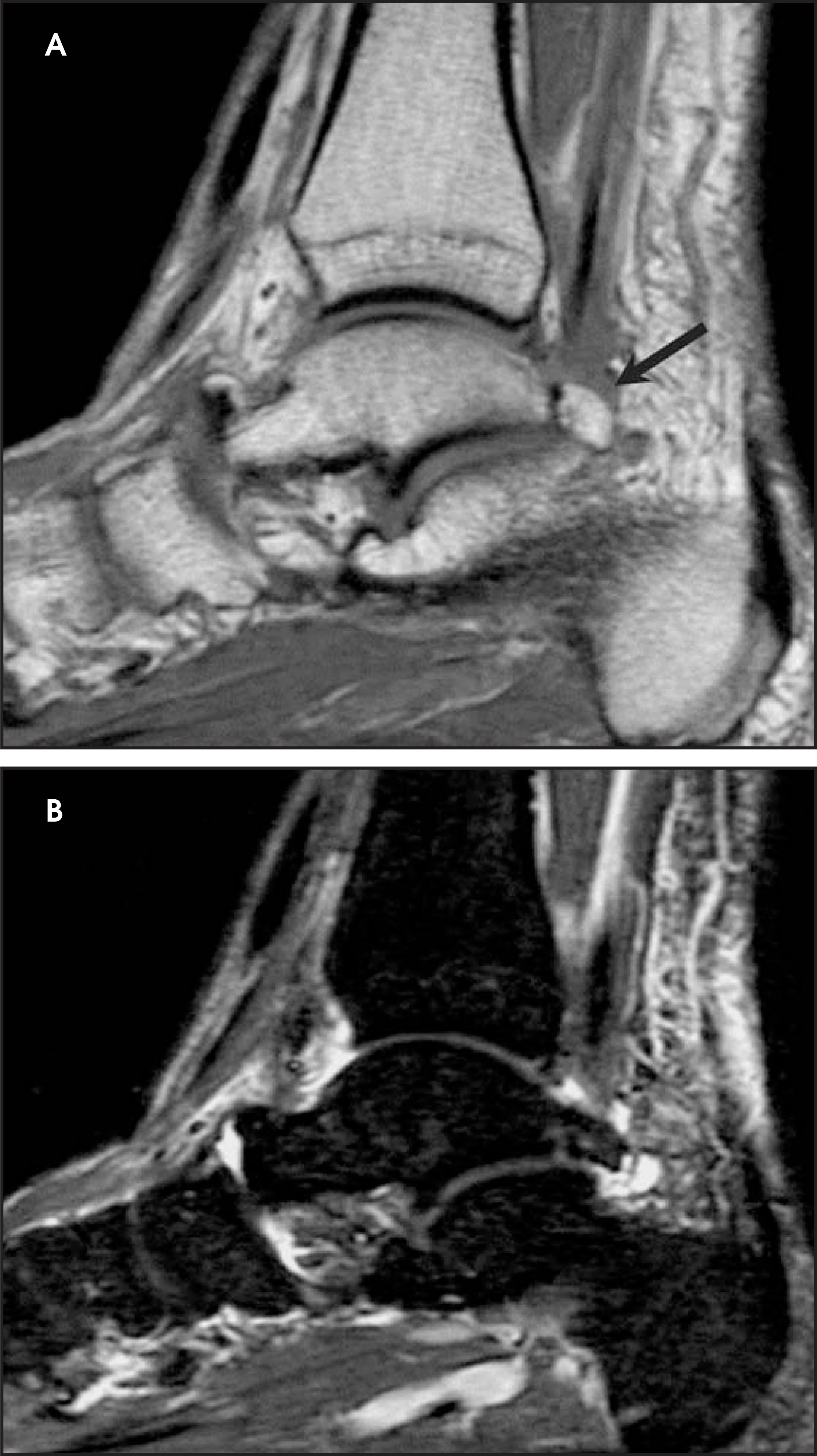 FIGURE 20.