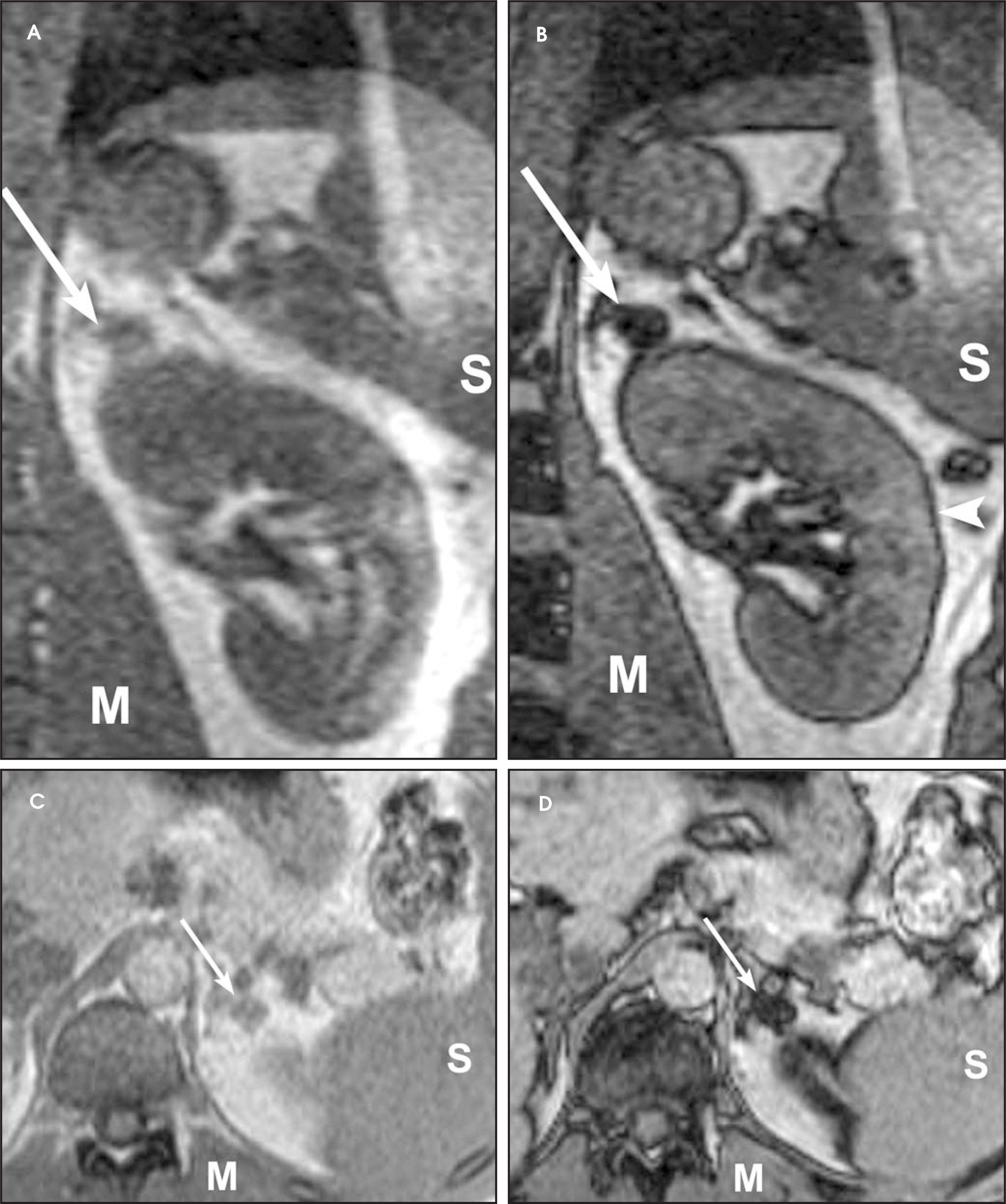 FIGURE 12.
