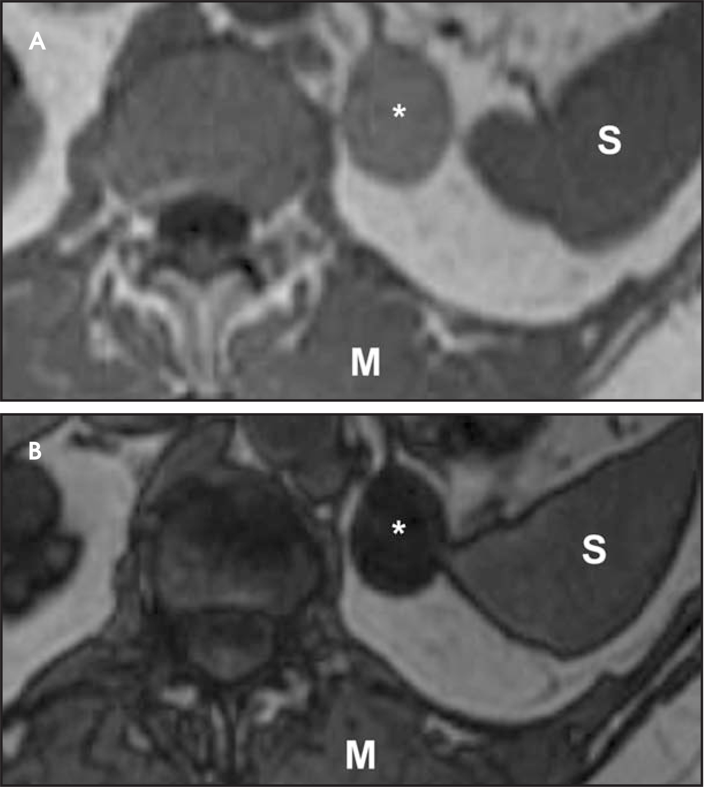 FIGURE 13.