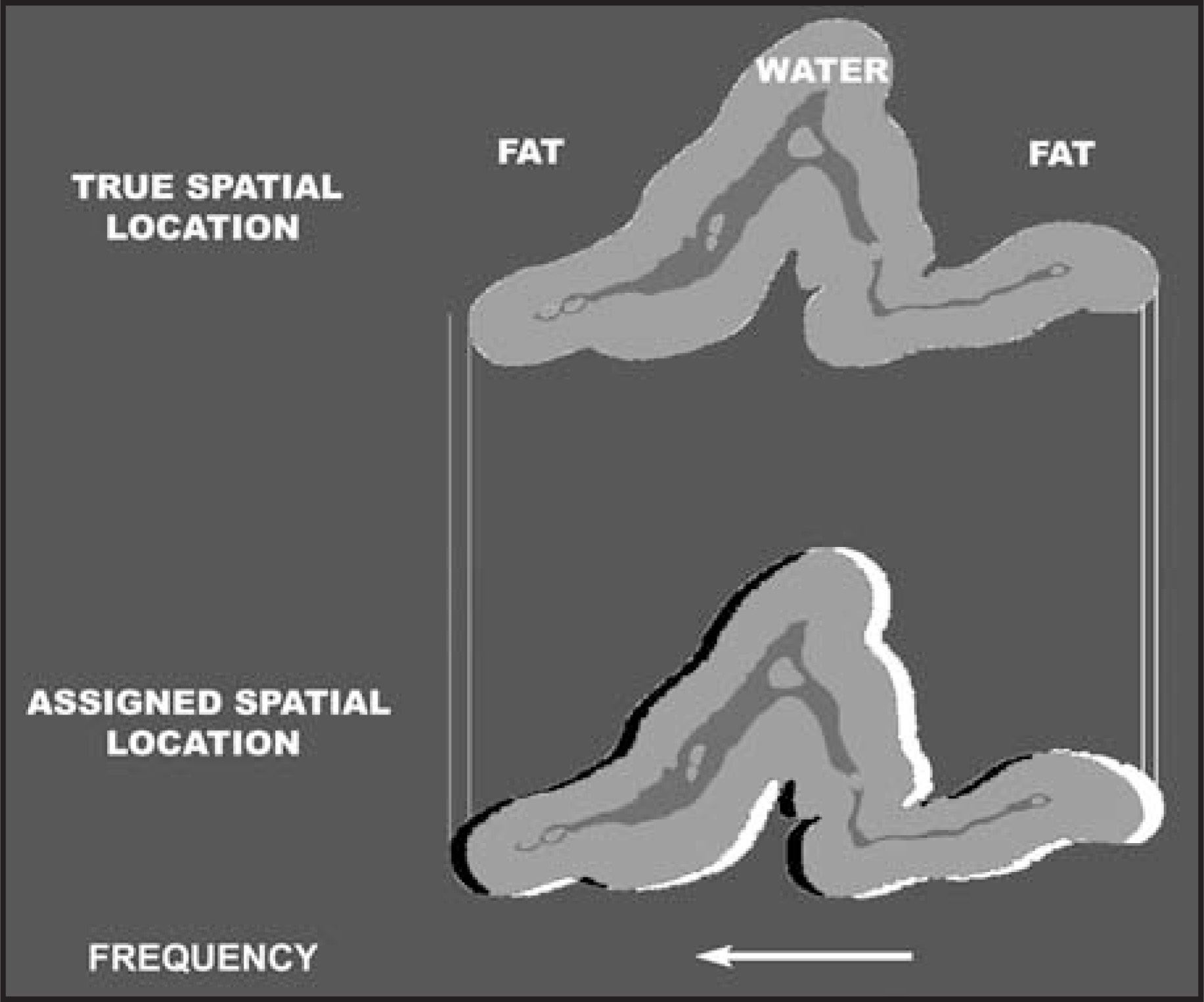 FIGURE 24.