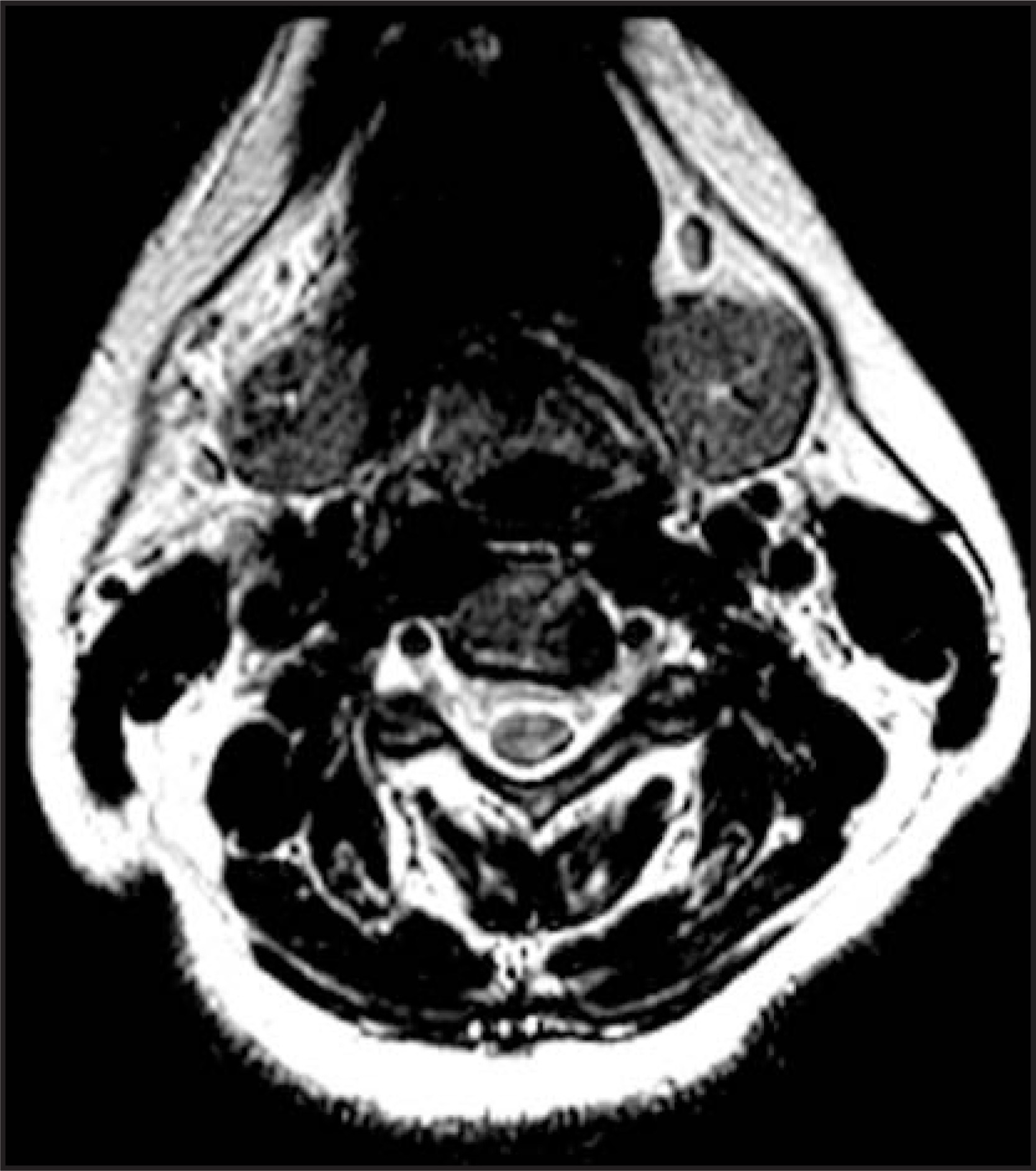 FIGURE 1.