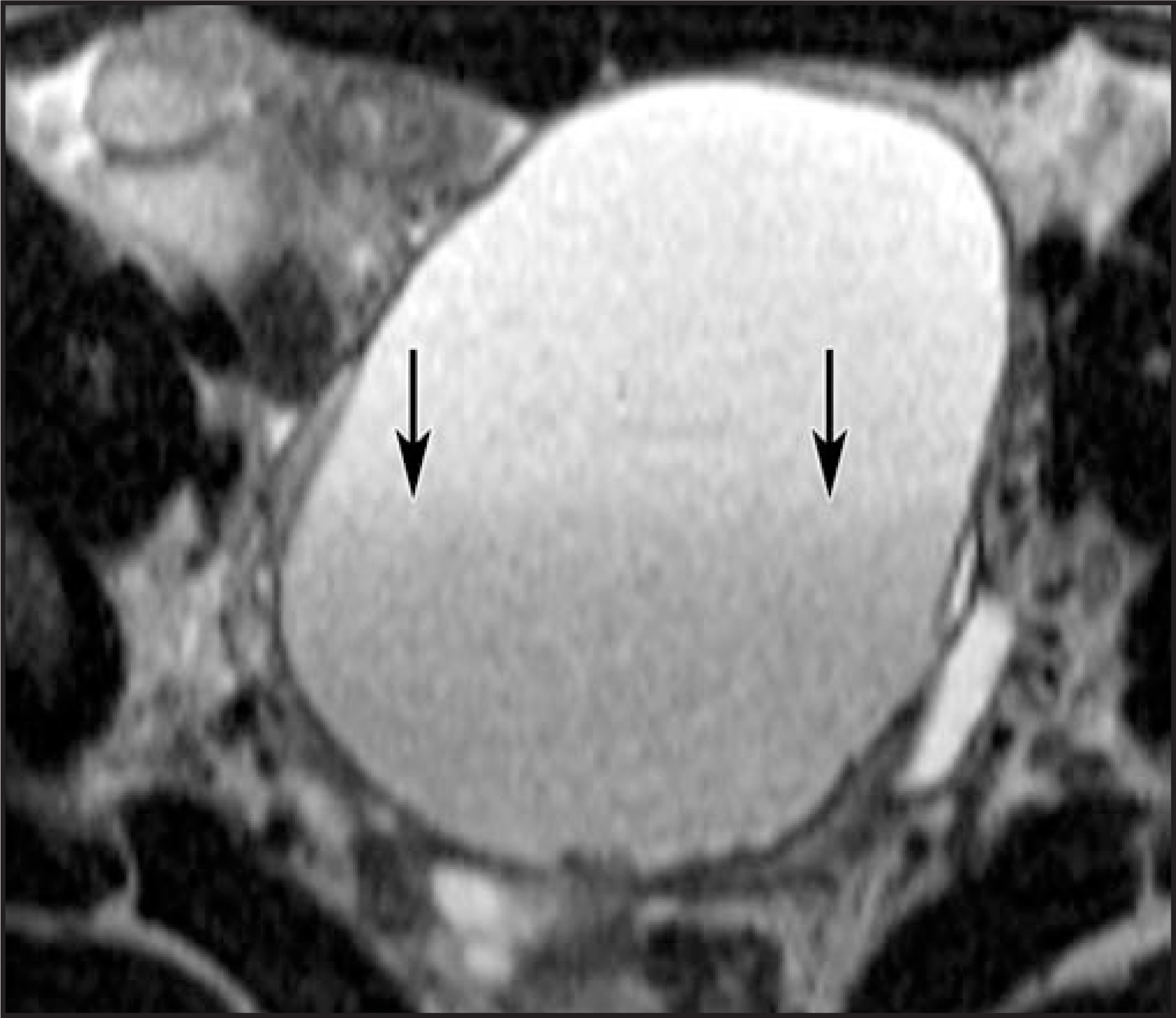FIGURE 10.