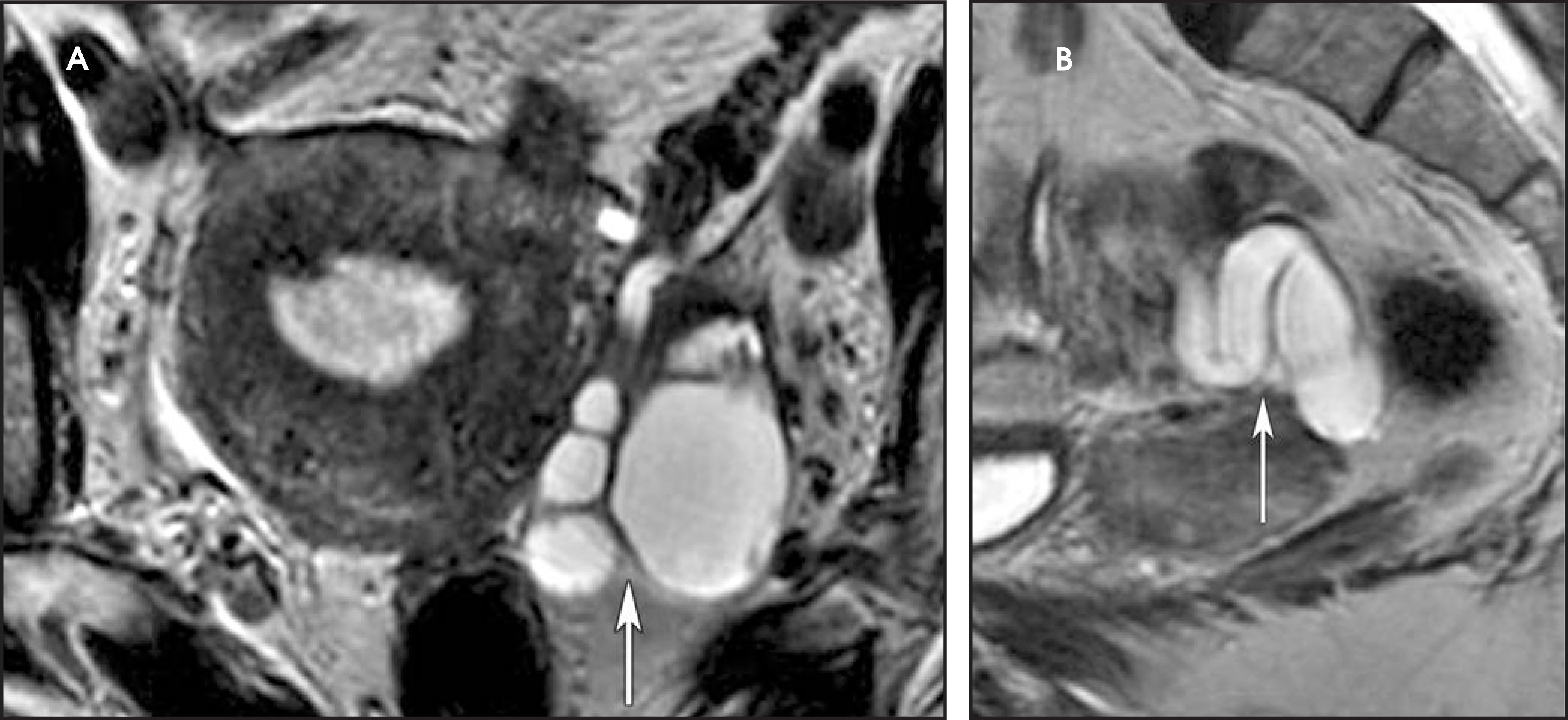 FIGURE 12.