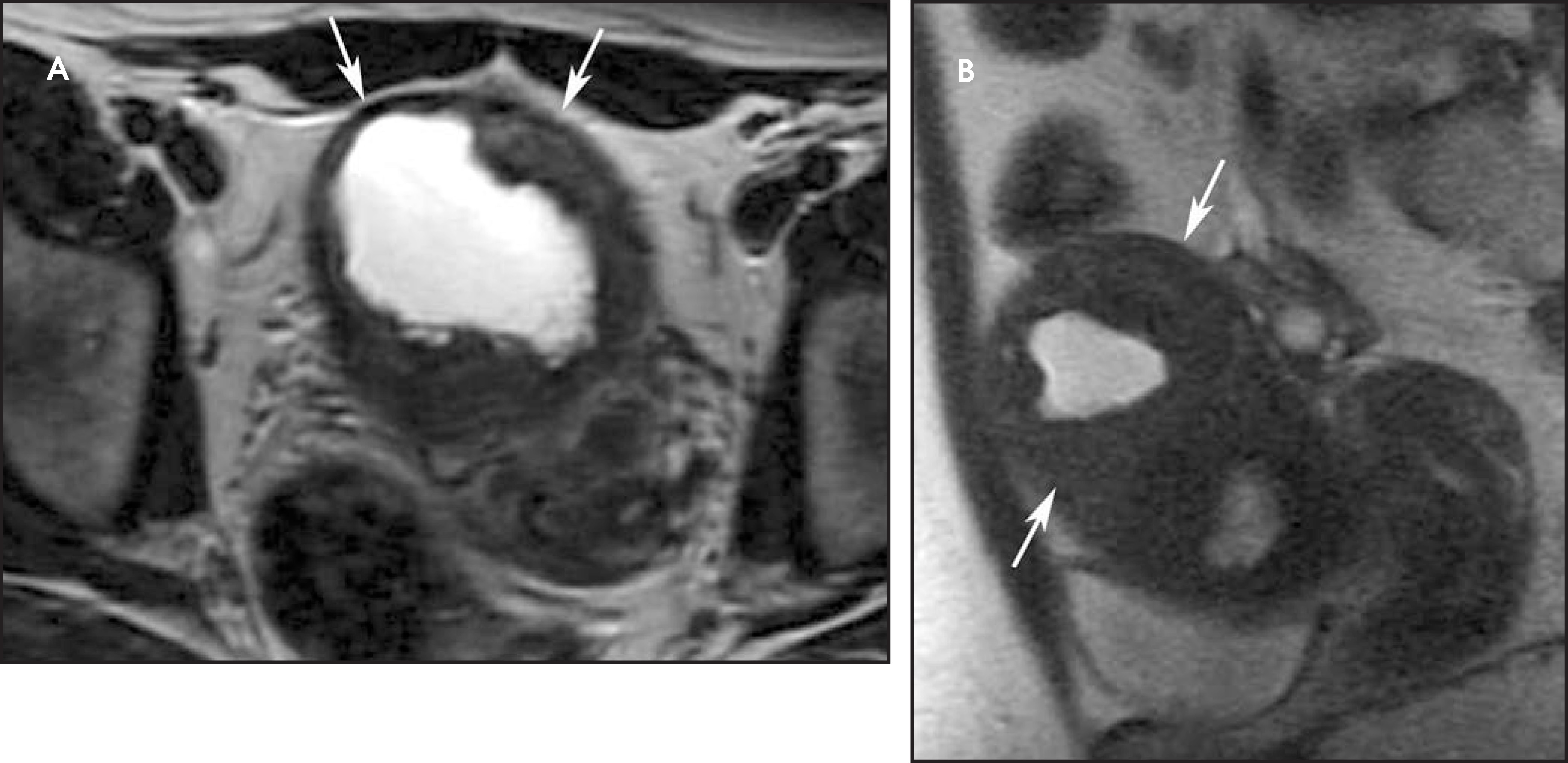FIGURE 15.