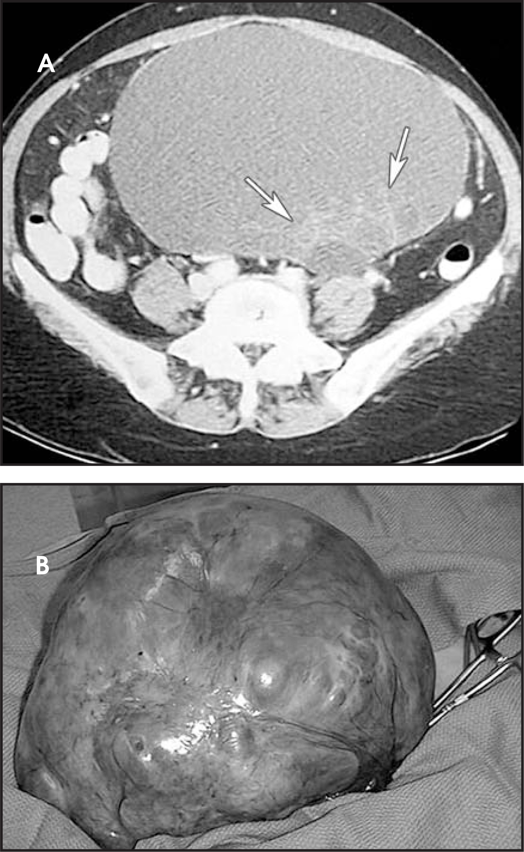 FIGURE 17.