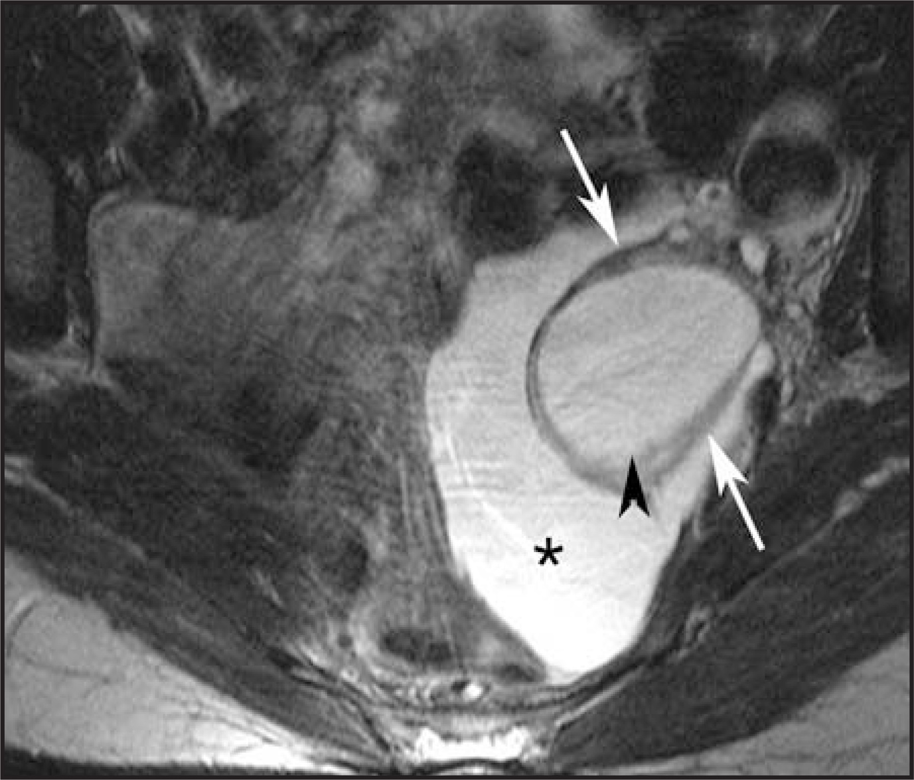 FIGURE 19.