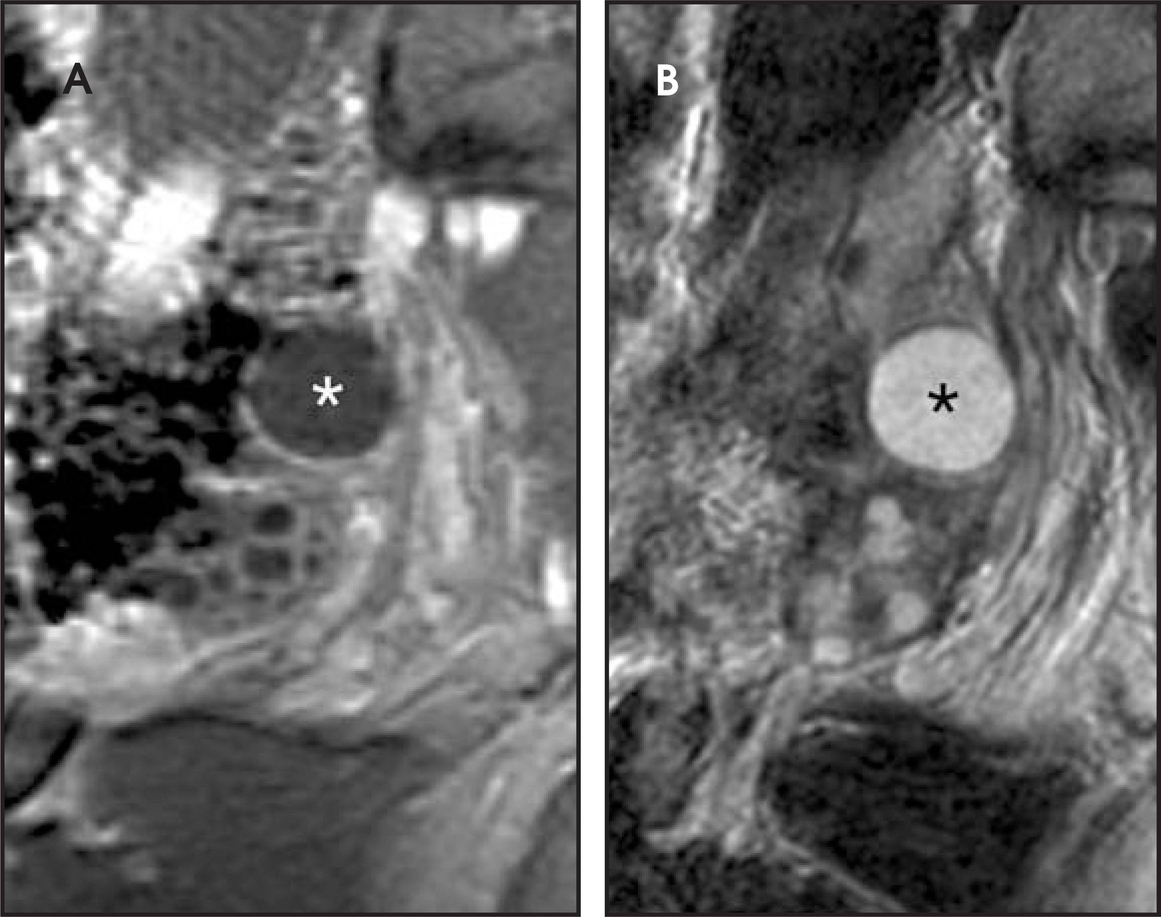 FIGURE 20.