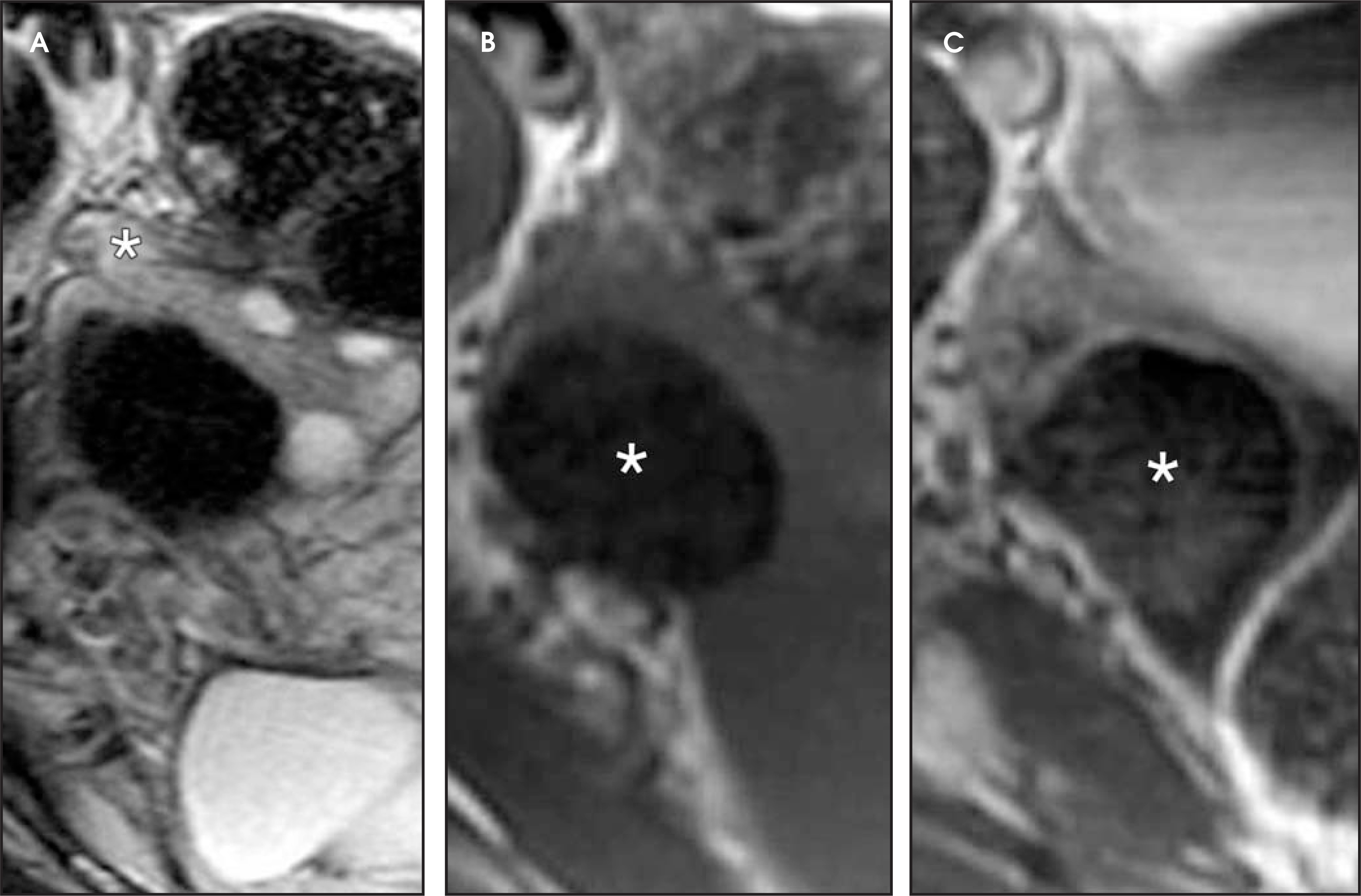 FIGURE 22.