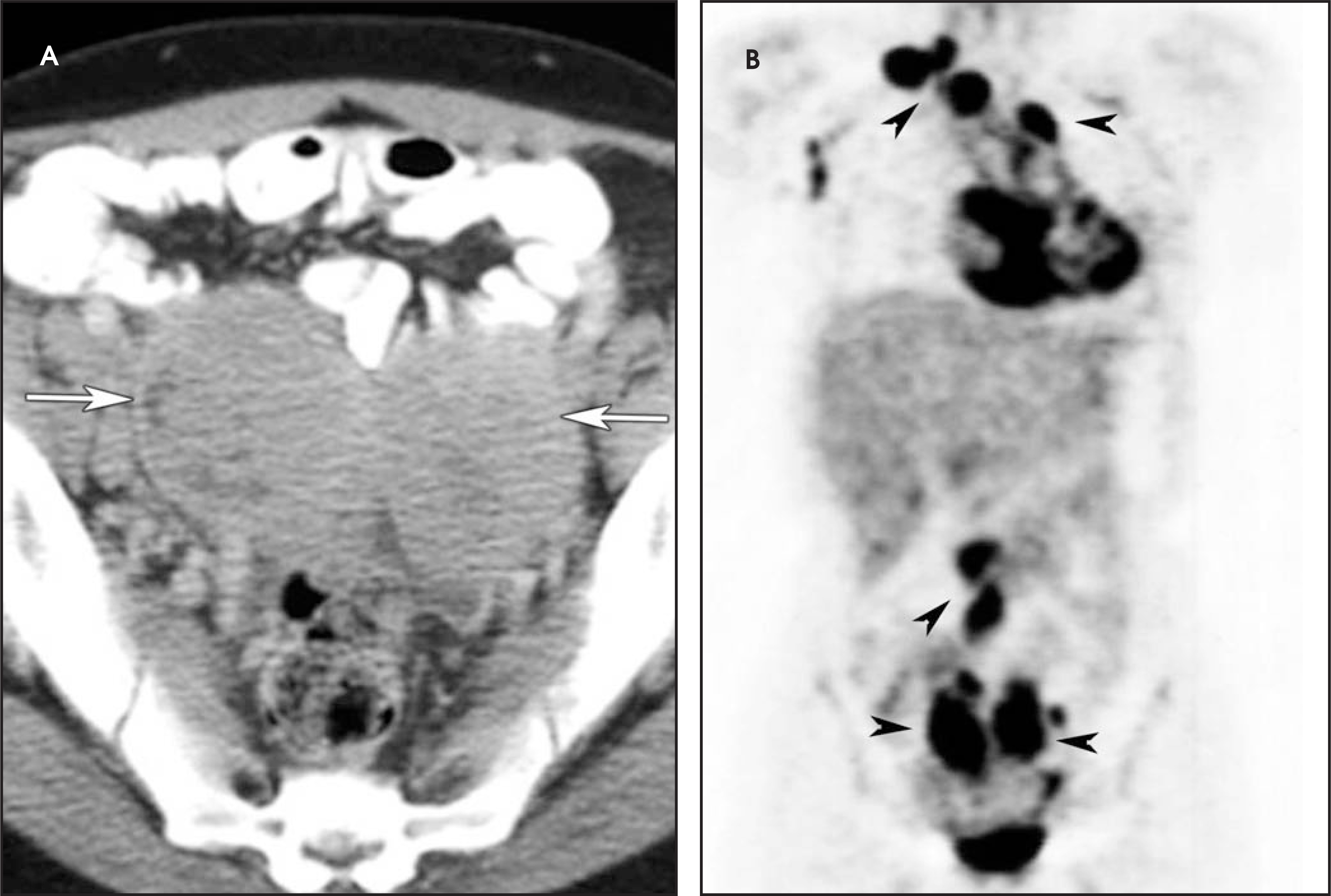 FIGURE 24.