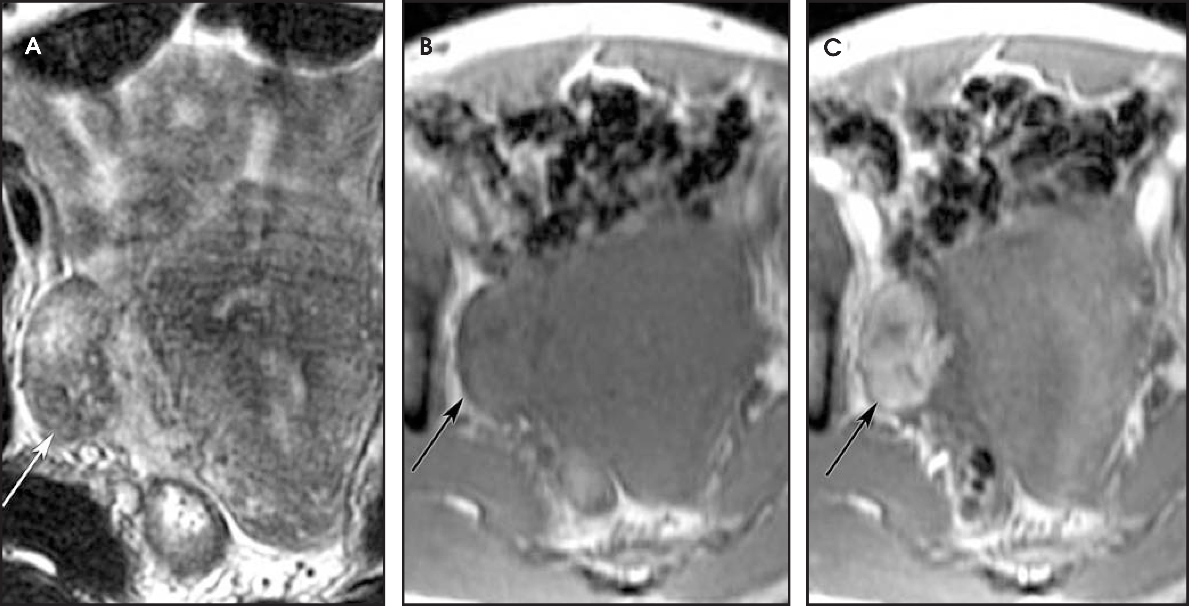 FIGURE 26.