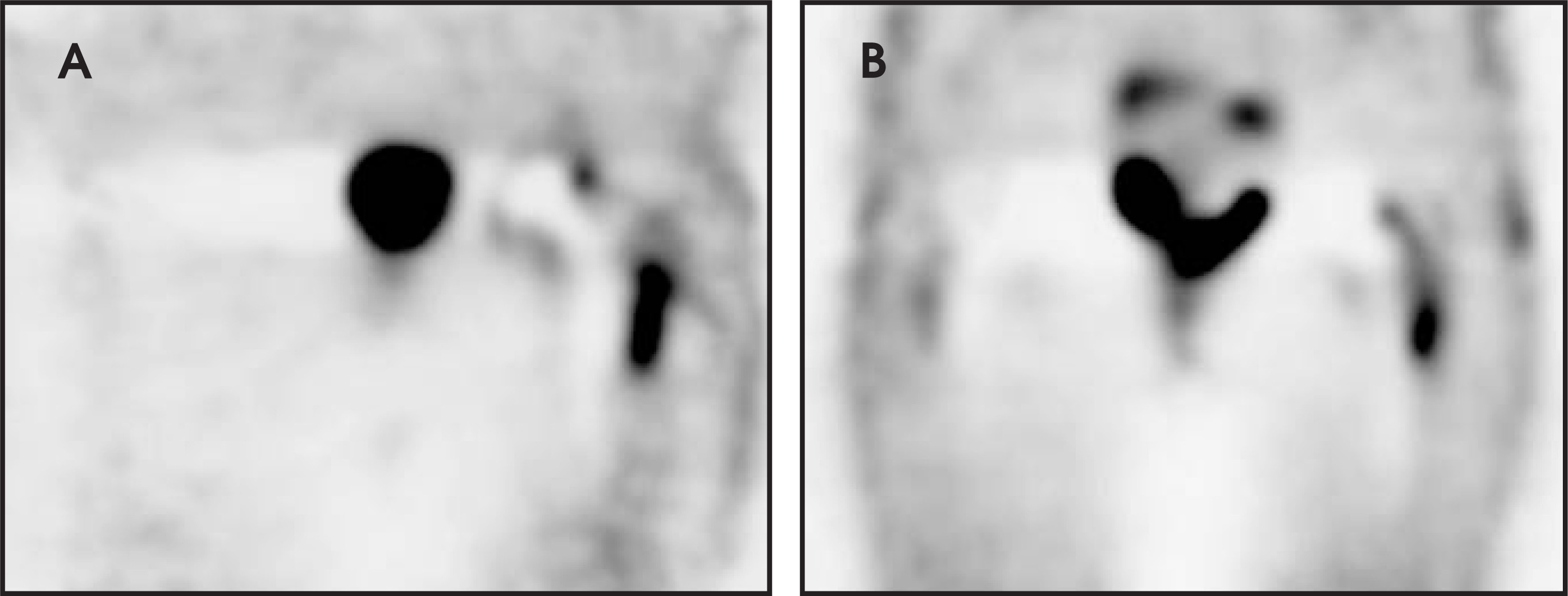 FIGURE 13.