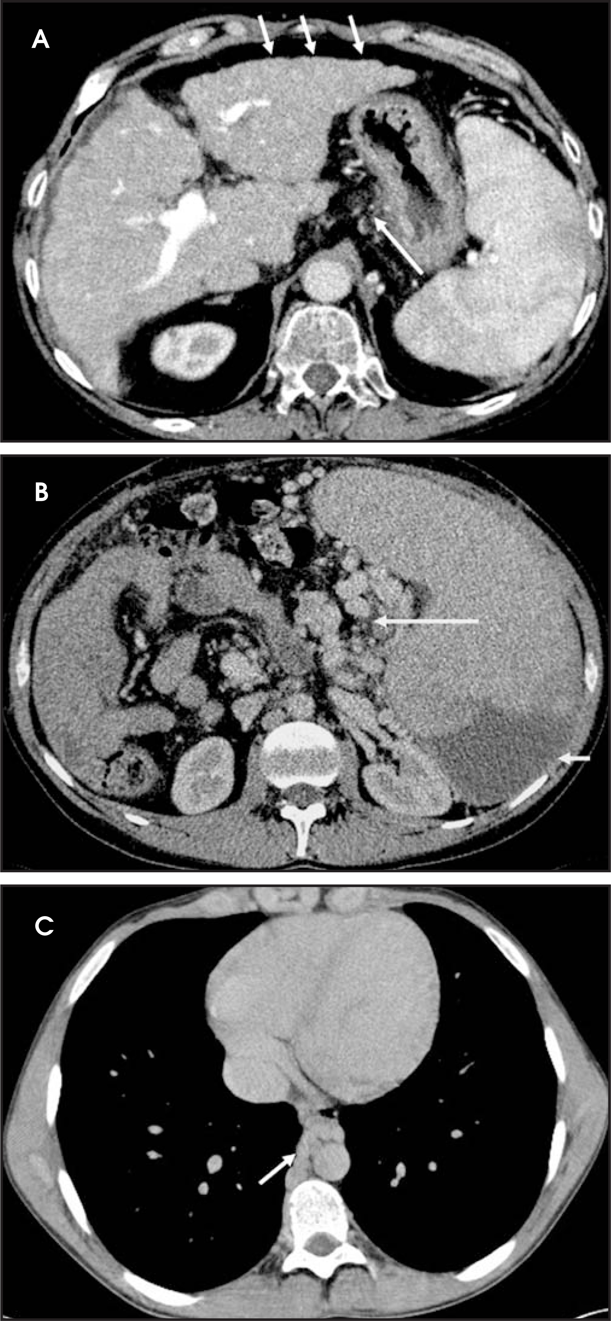 FIGURE 1.