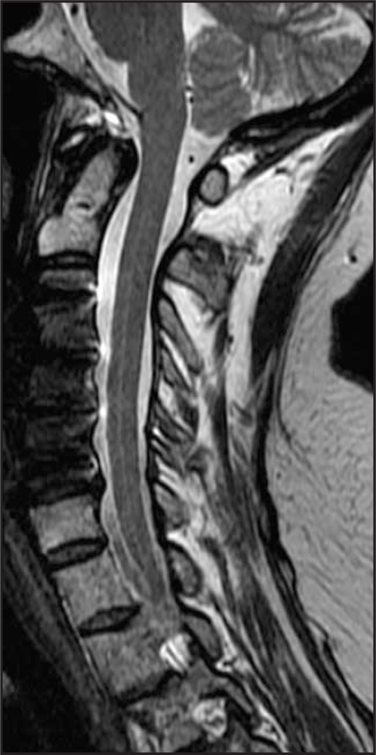 FIGURE 10.