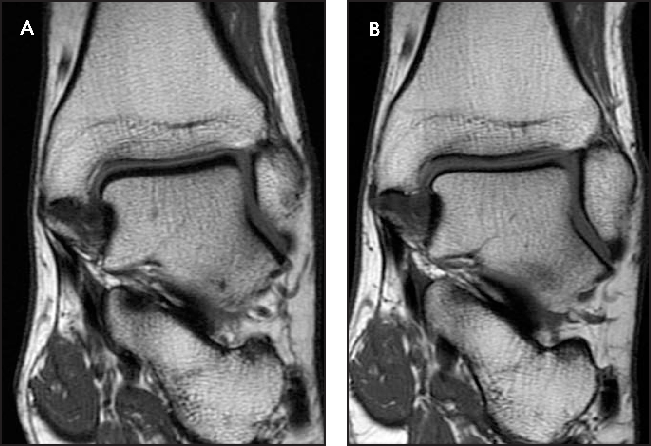 FIGURE 12.