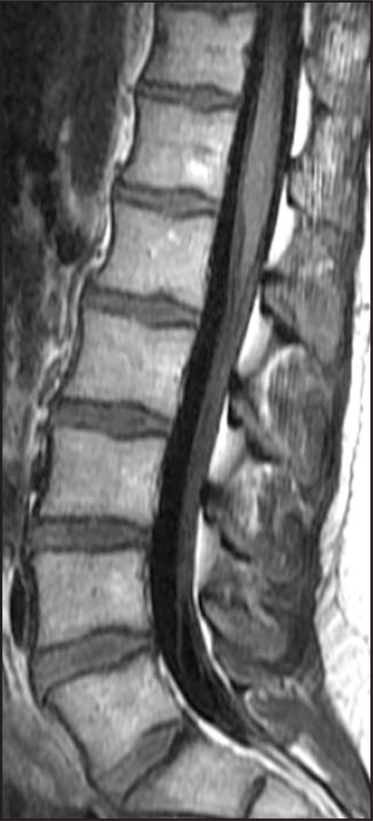 FIGURE 16.