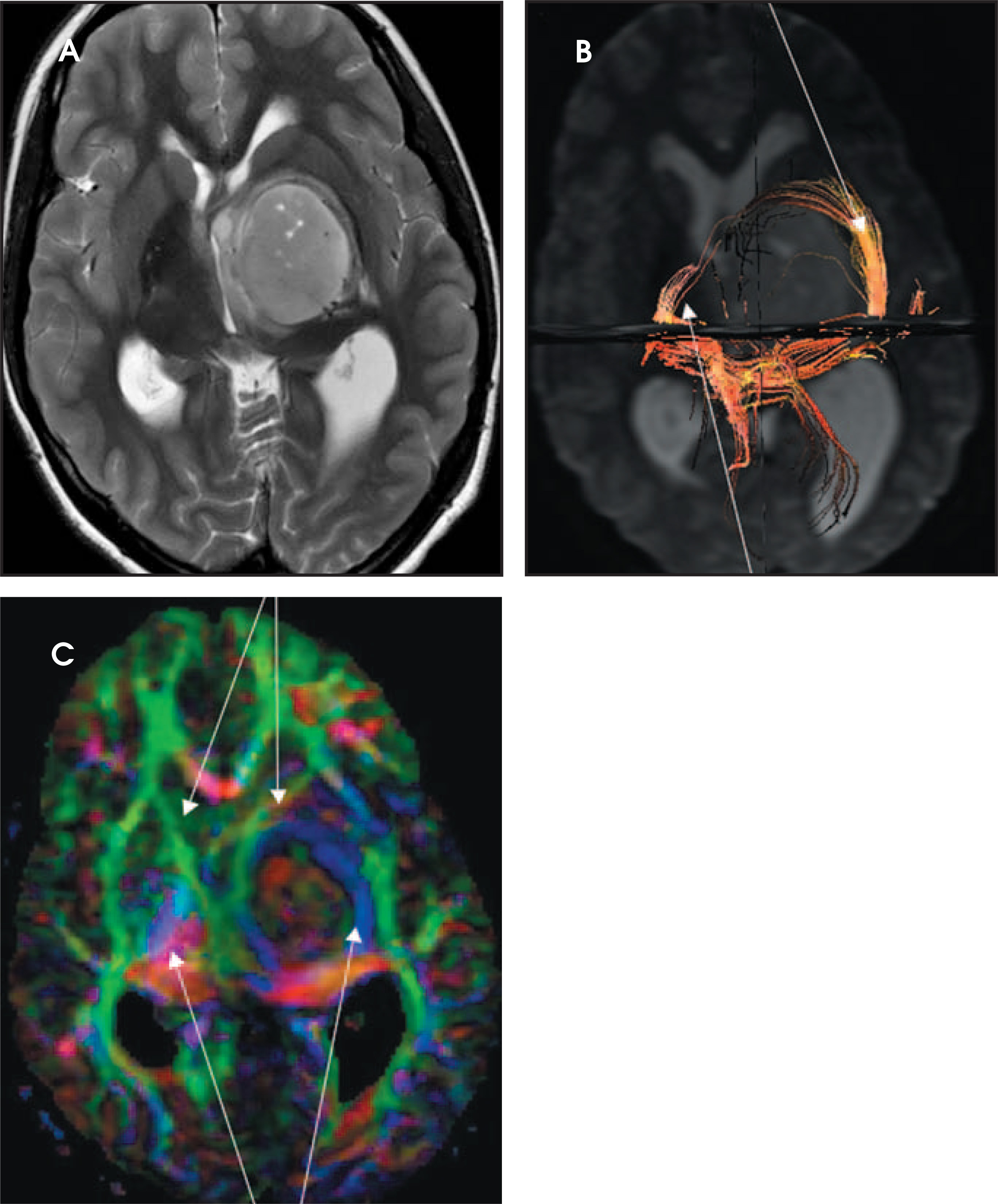 FIGURE 18.