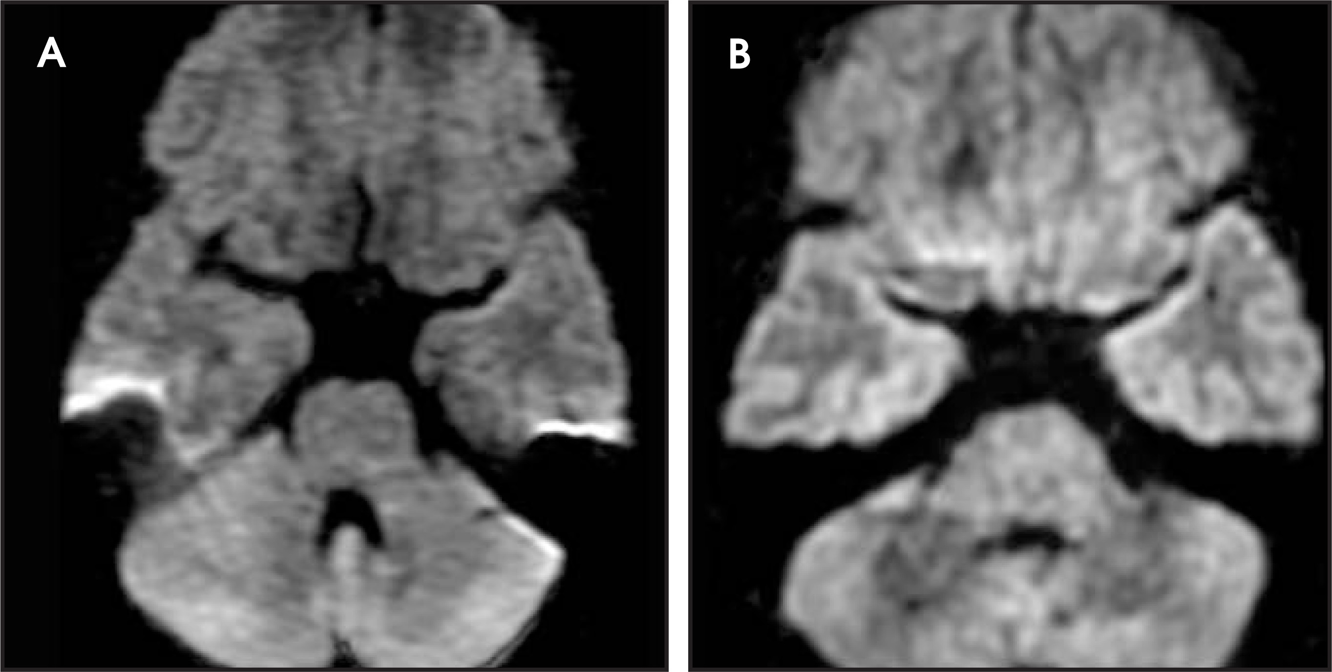 FIGURE 20.