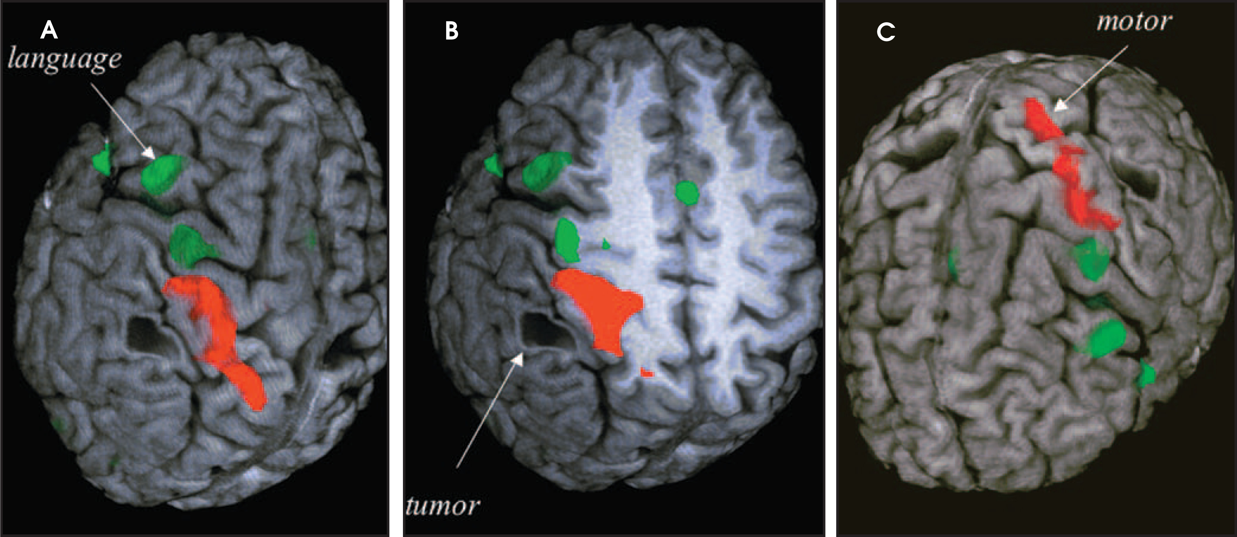 FIGURE 21.