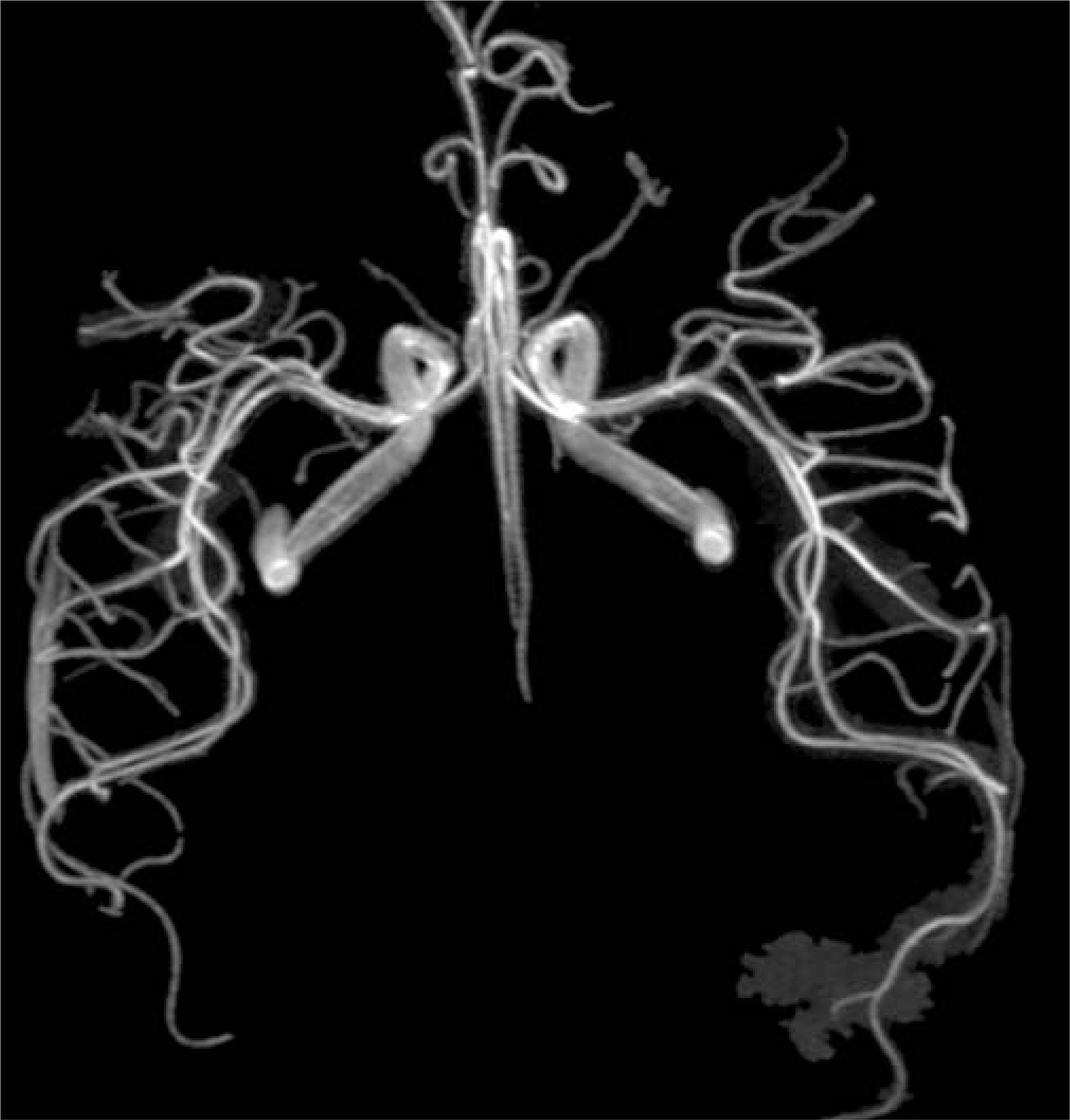 FIGURE 22.