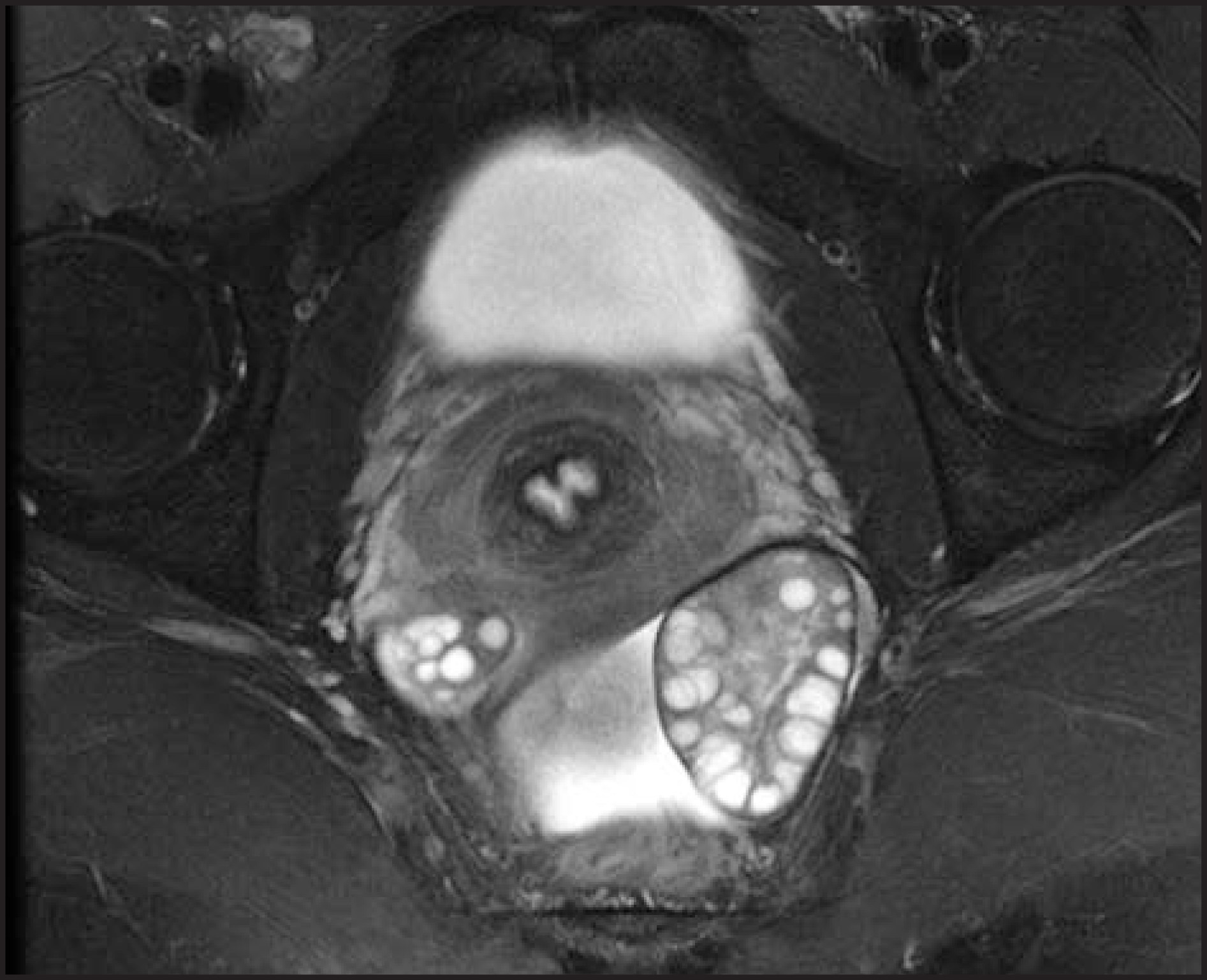 FIGURE 25.