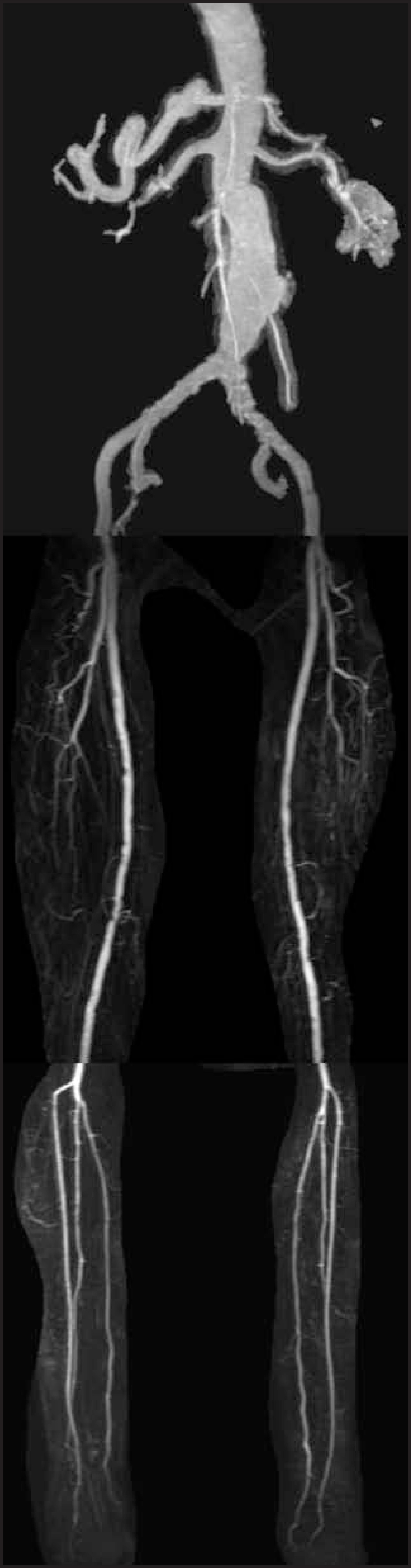 FIGURE 27.