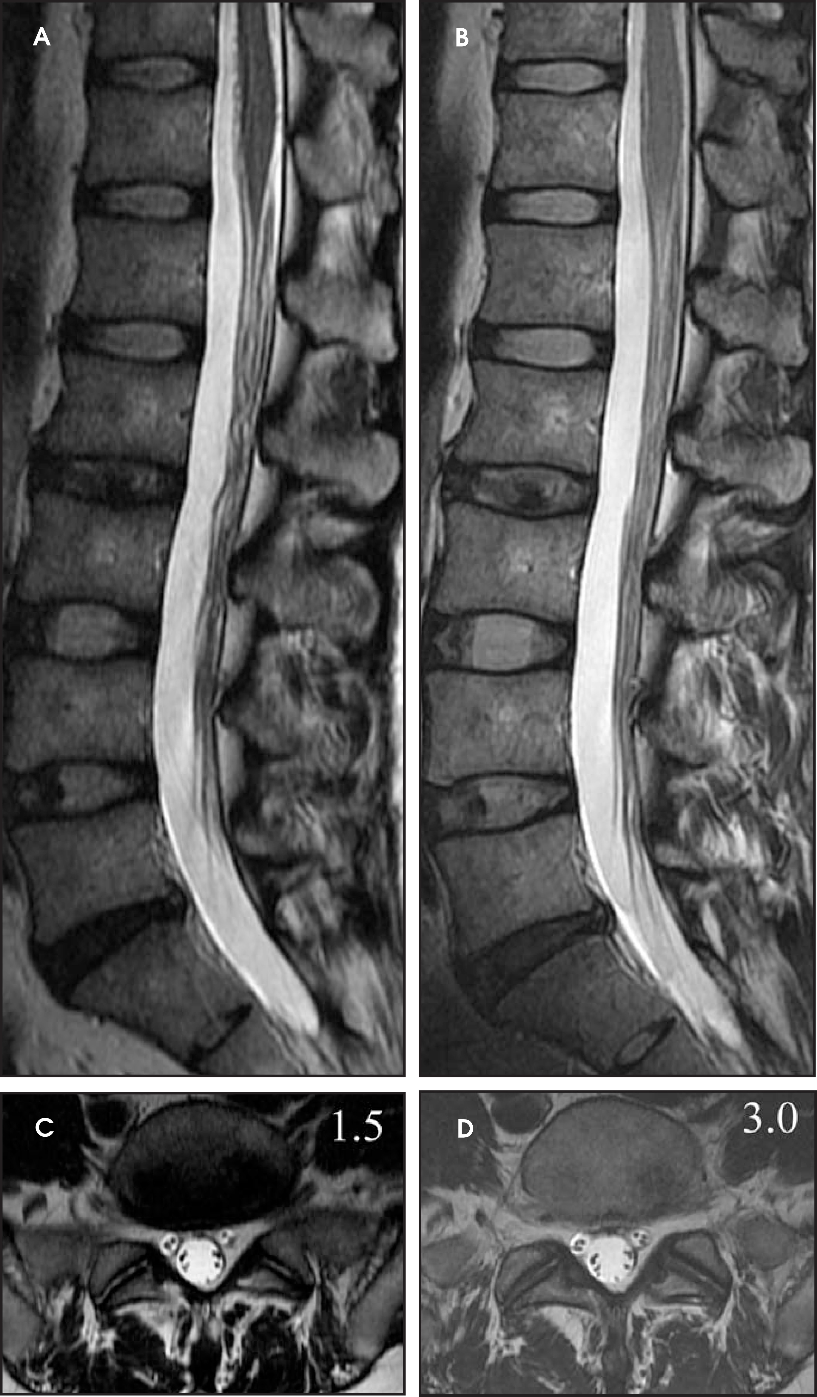 FIGURE 28.
