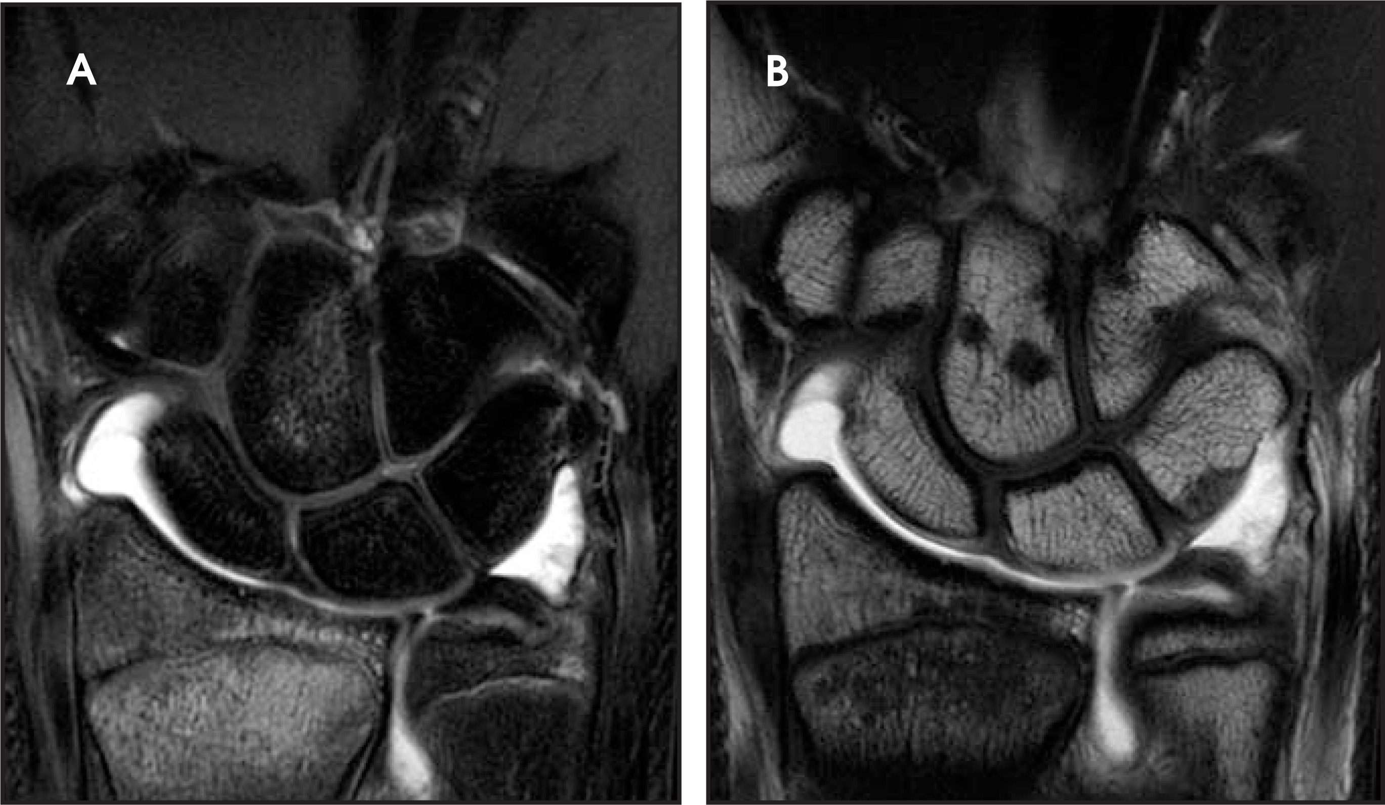 FIGURE 29.