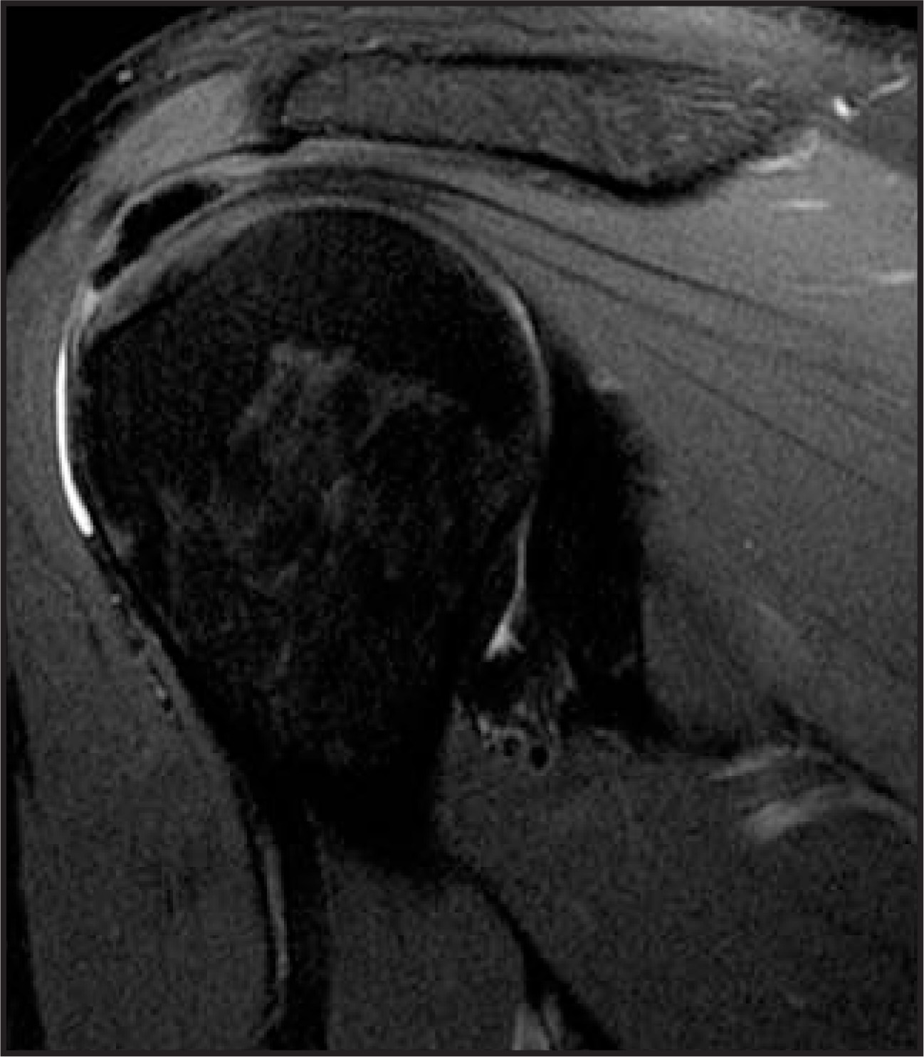 FIGURE 31.