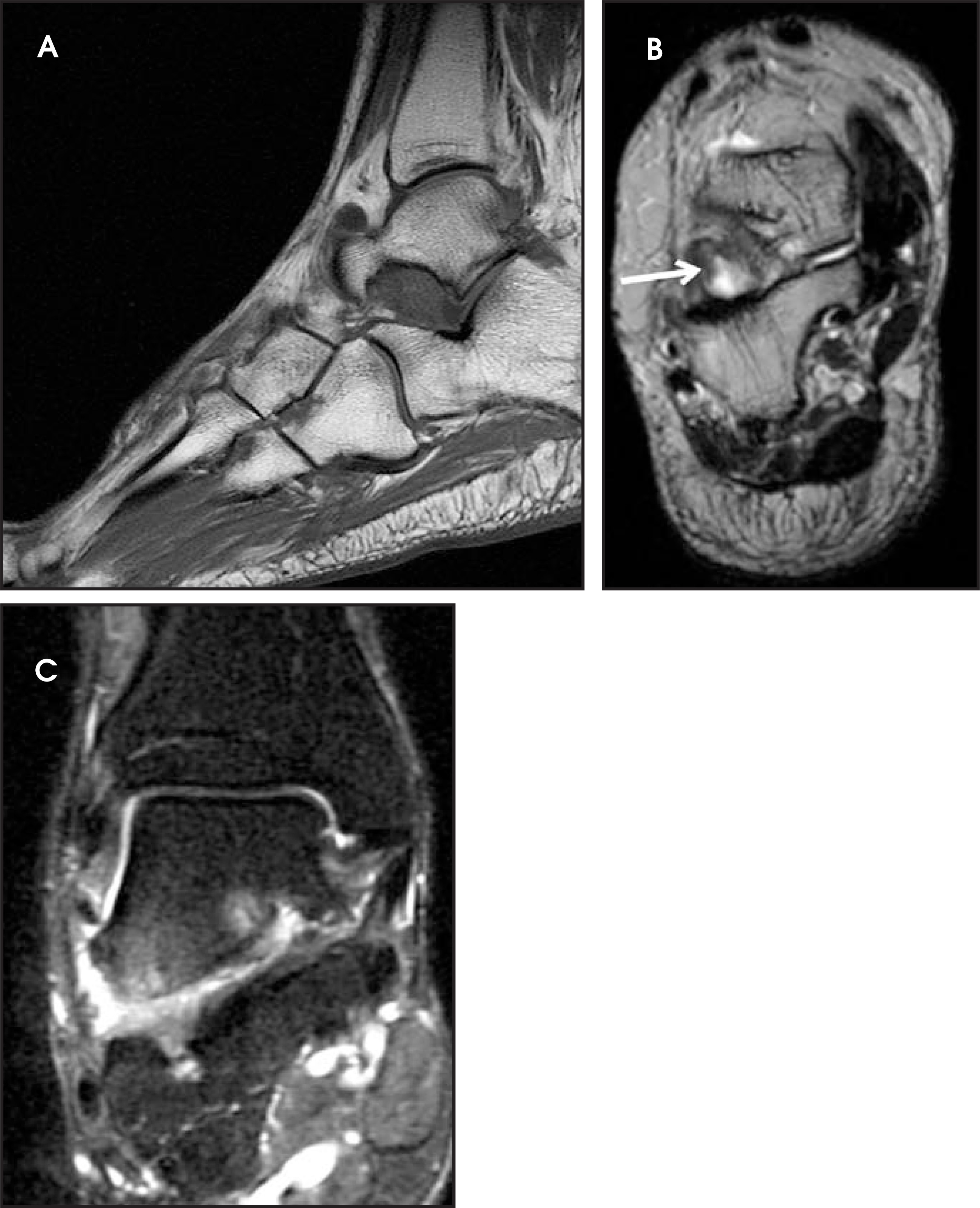 FIGURE 7.