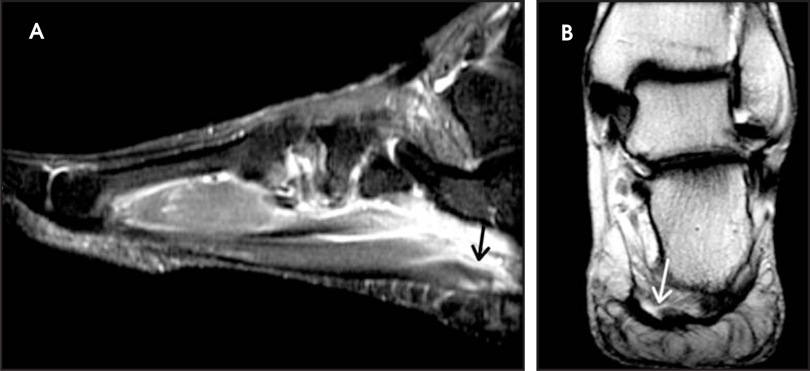 FIGURE 9.