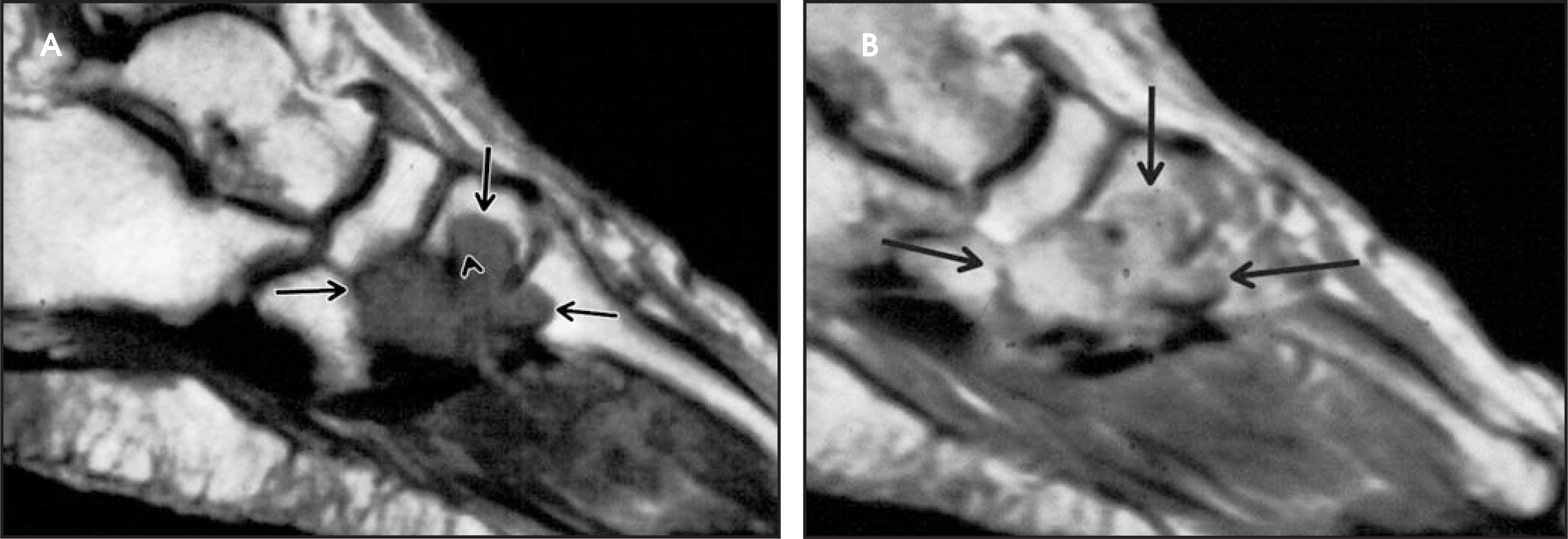 FIGURE 12.