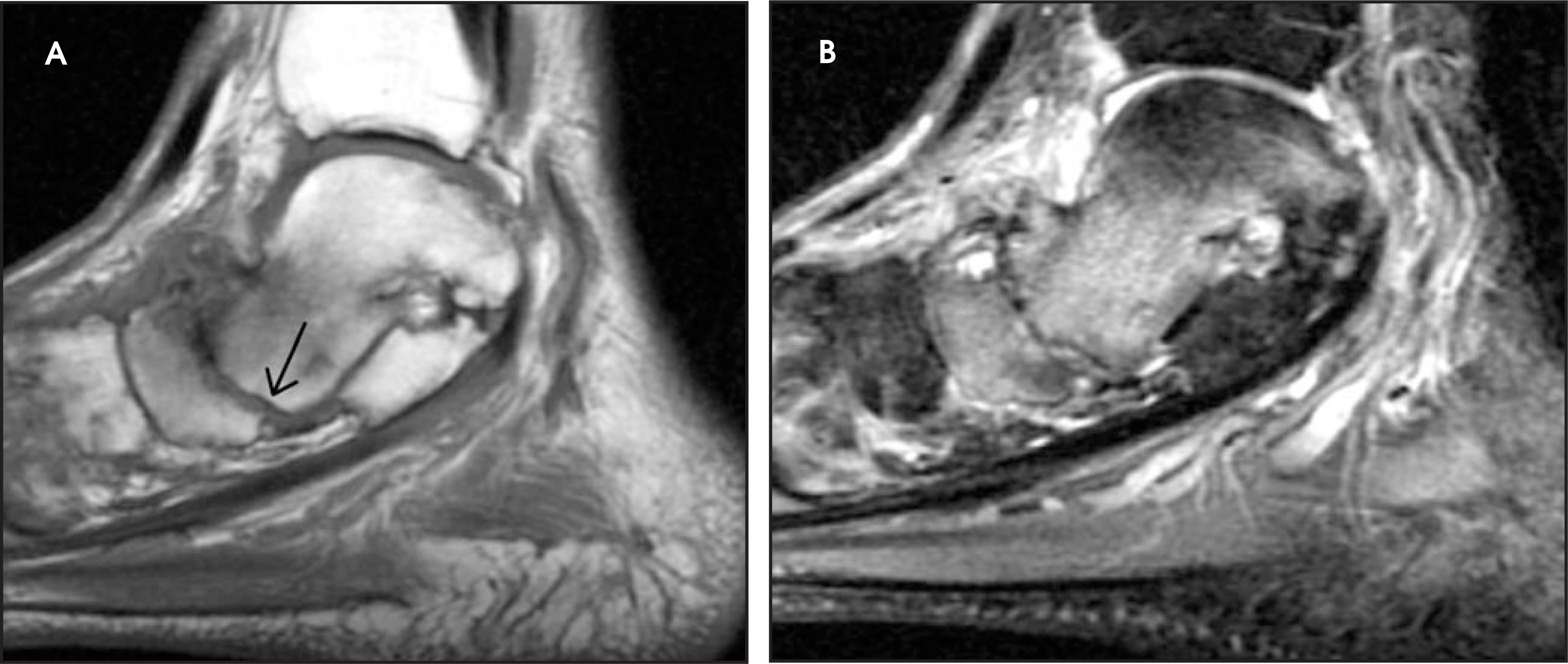 FIGURE 13.