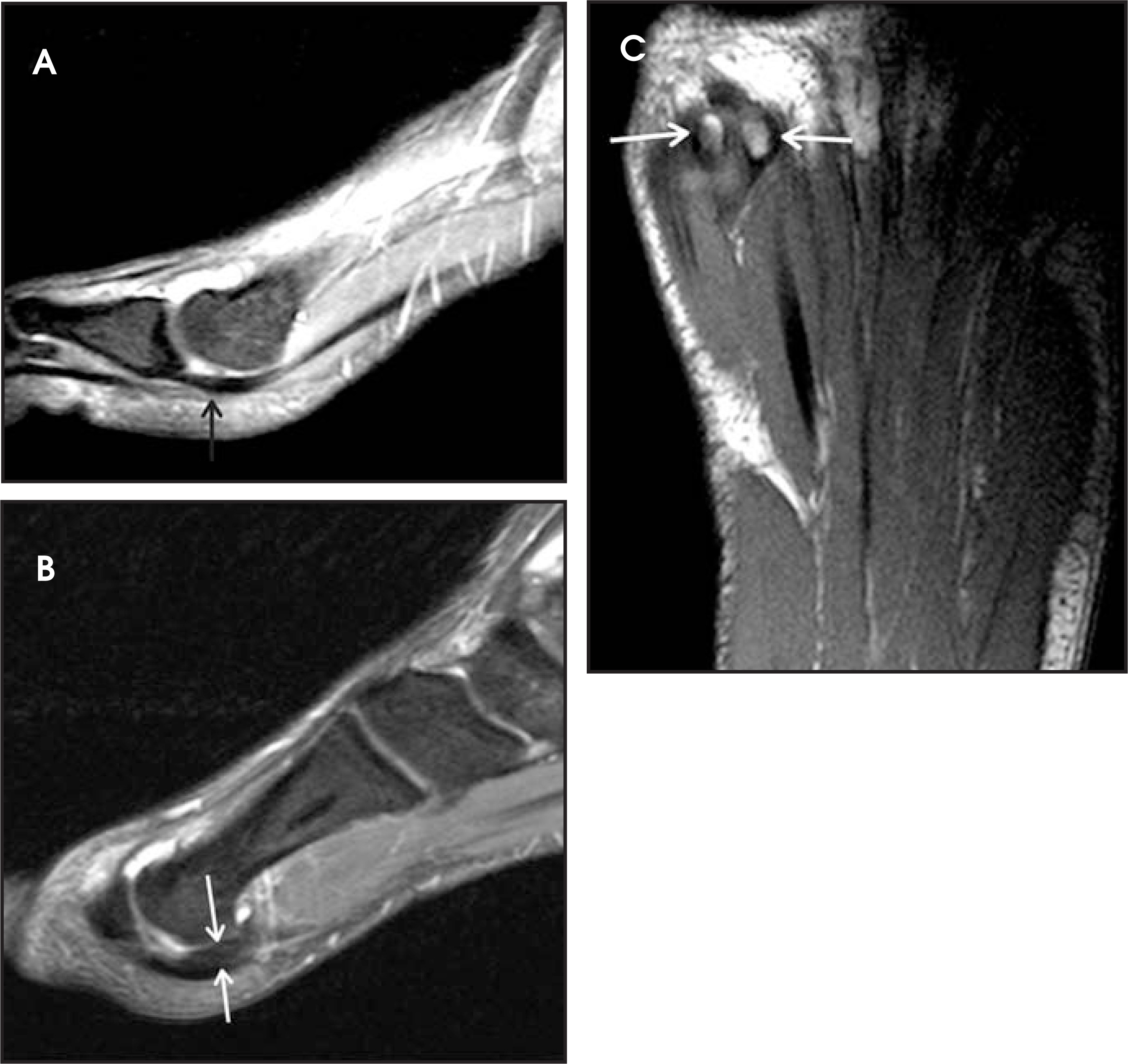 FIGURE 15.