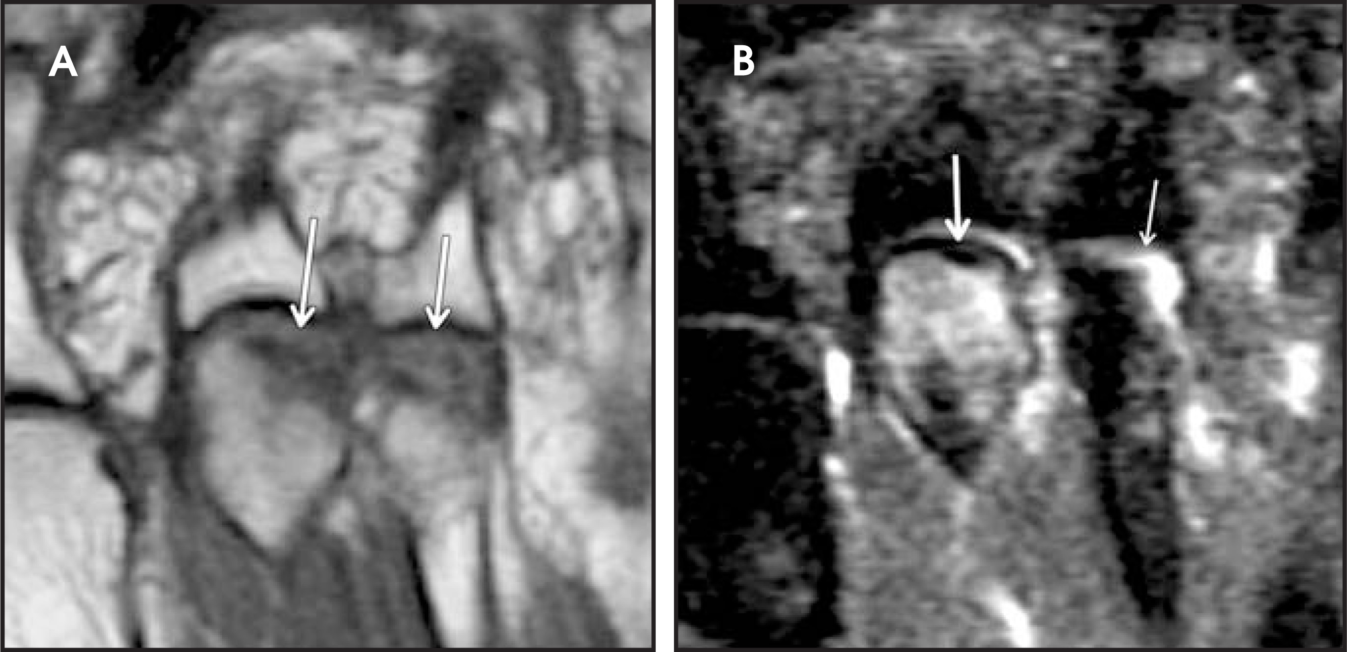 FIGURE 17.