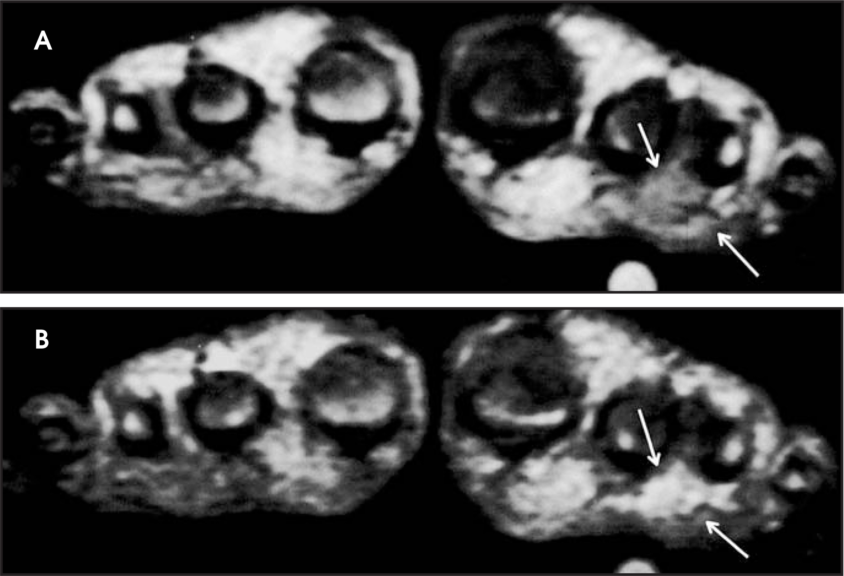 FIGURE 19.